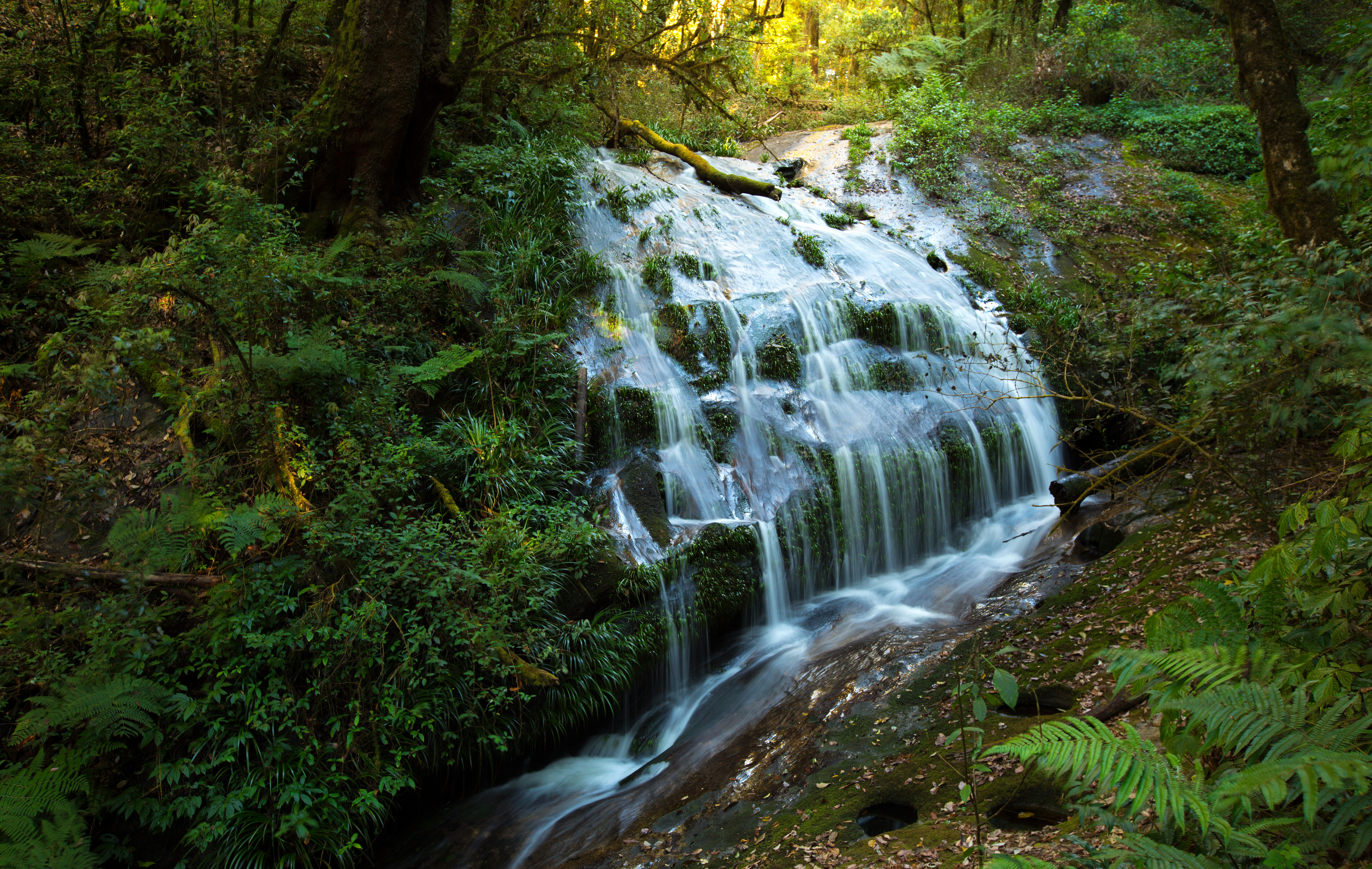 Handy-Wallpaper Natur, Wasserfälle, Wasserfall, Dschungel, Erde/natur kostenlos herunterladen.