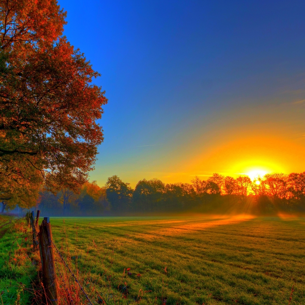 Free download wallpaper Sunset, Sky, Fall, Earth, Field on your PC desktop
