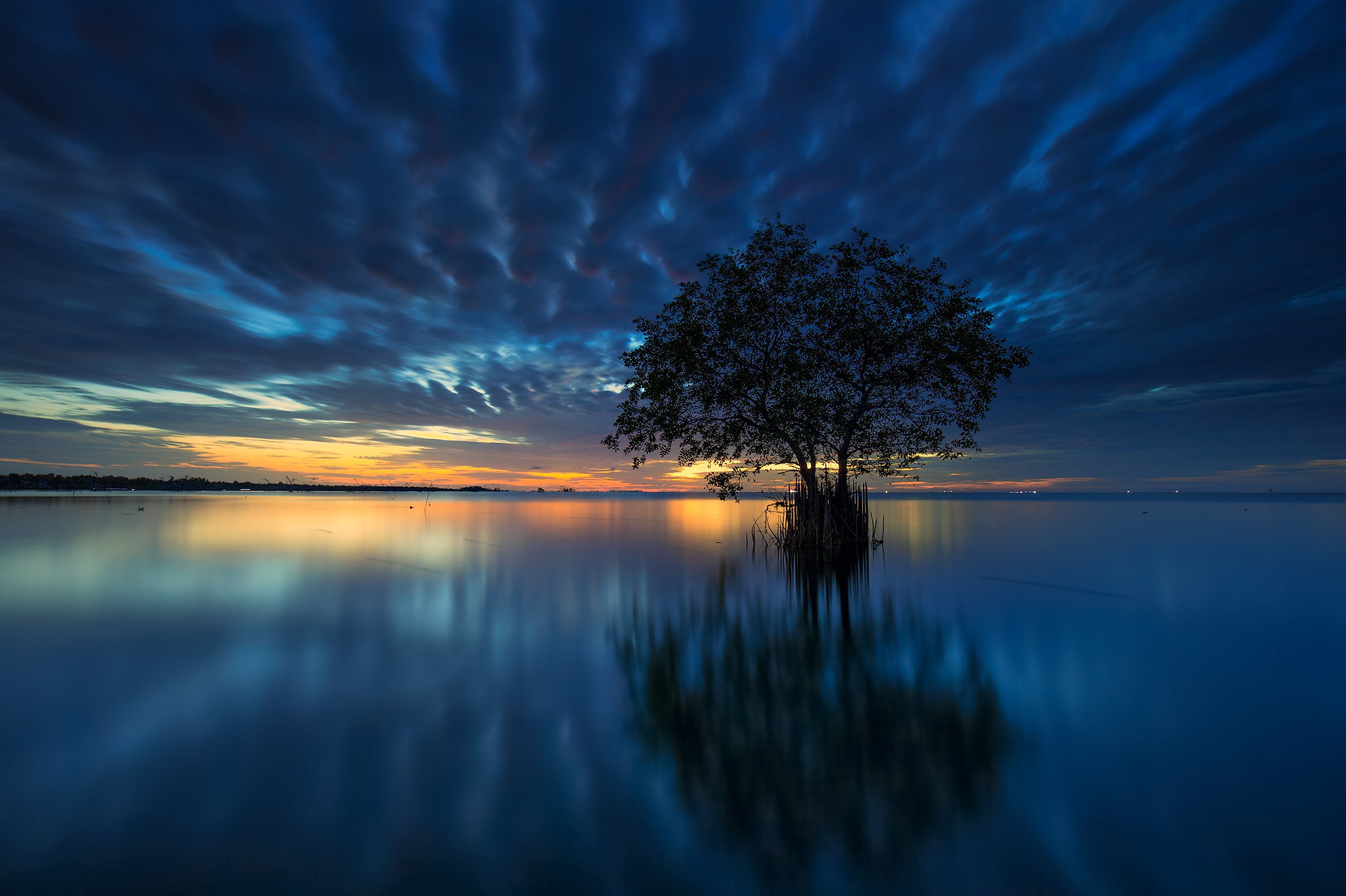 Download mobile wallpaper Sunset, Lakes, Horizon, Lake, Tree, Earth, Cloud for free.