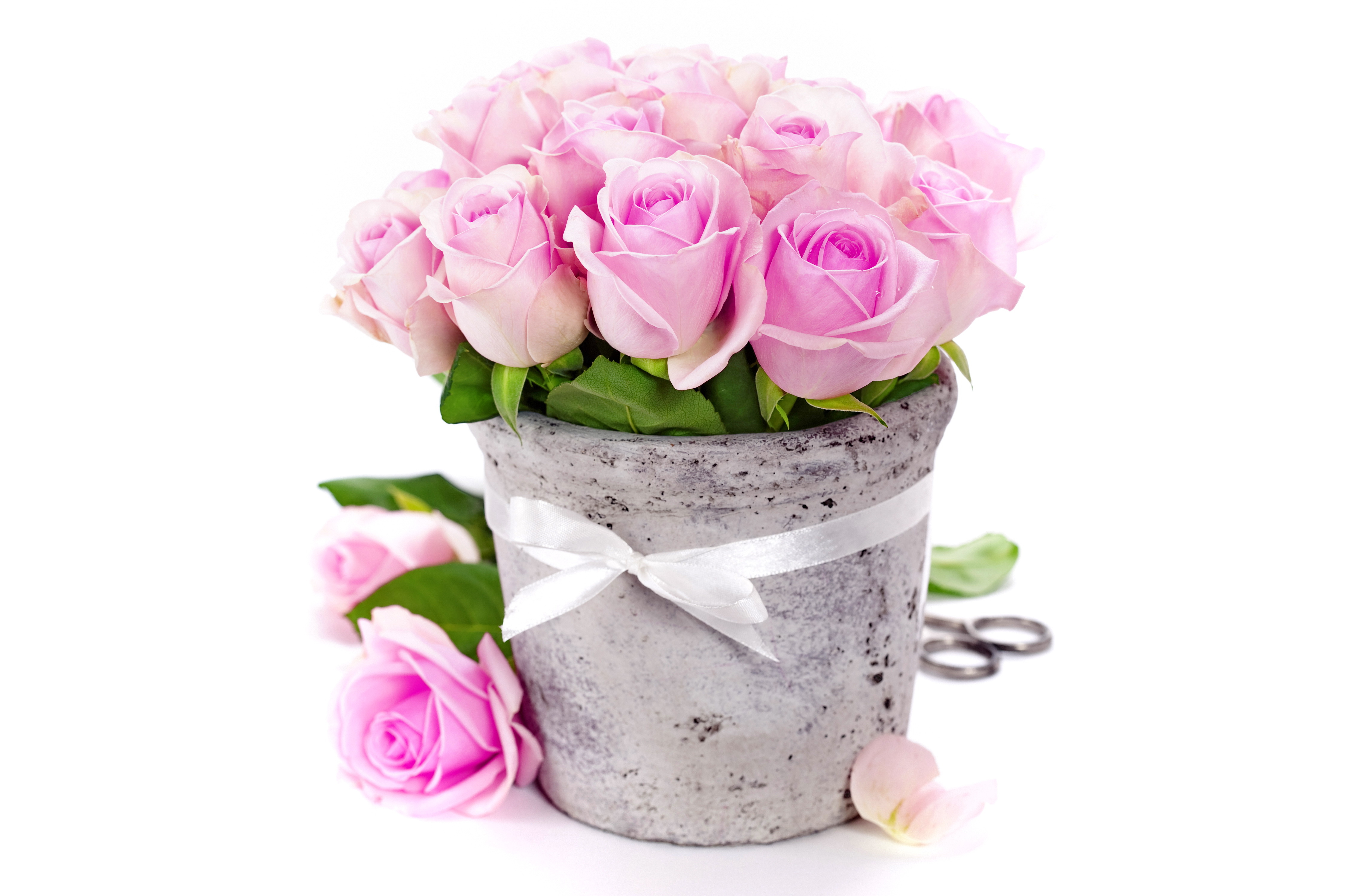 Handy-Wallpaper Blume, Rose, Vase, Fotografie, Pinke Blume, Stillleben kostenlos herunterladen.
