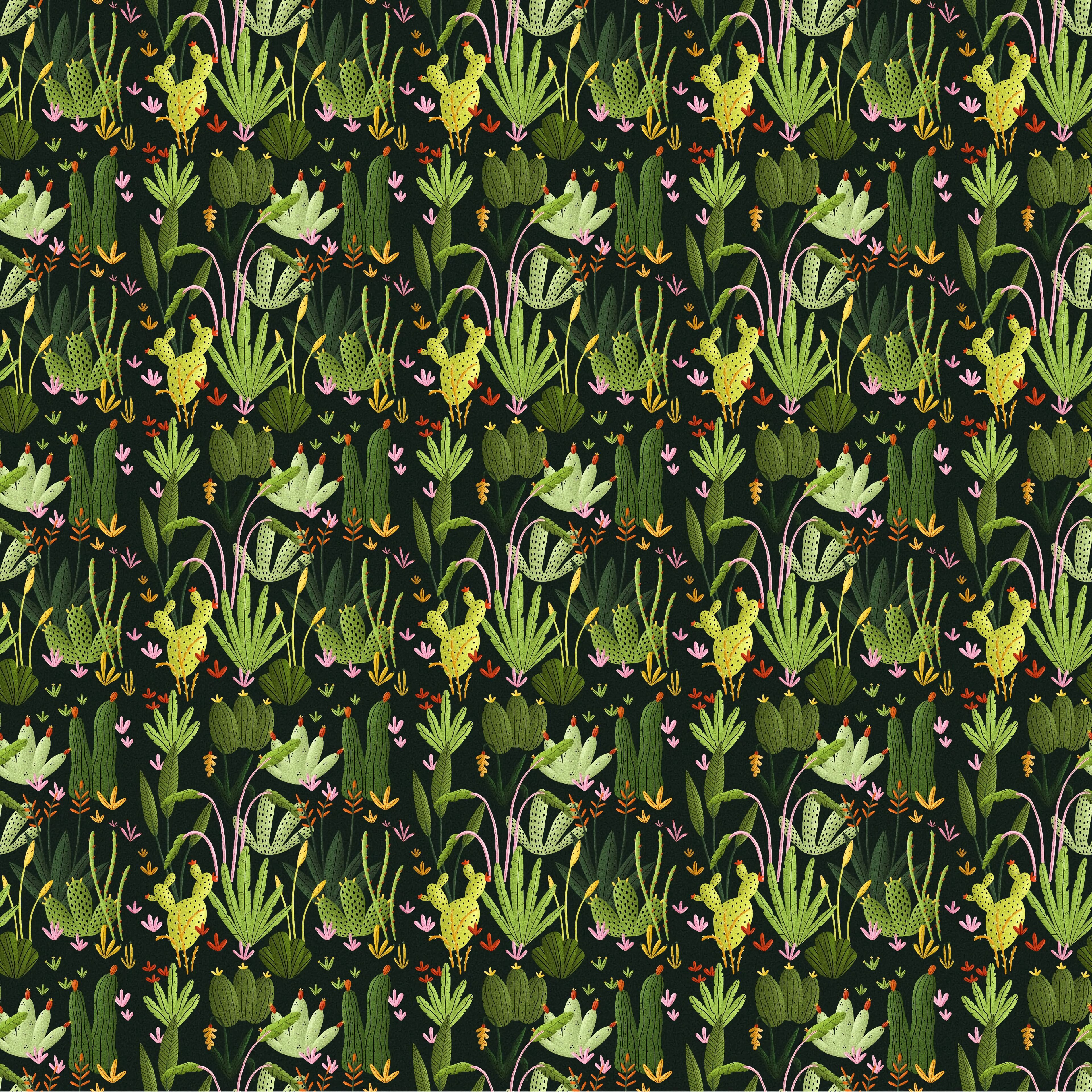 97821 baixar imagens plantas, cactus, padrão, textura, texturas - papéis de parede e protetores de tela gratuitamente