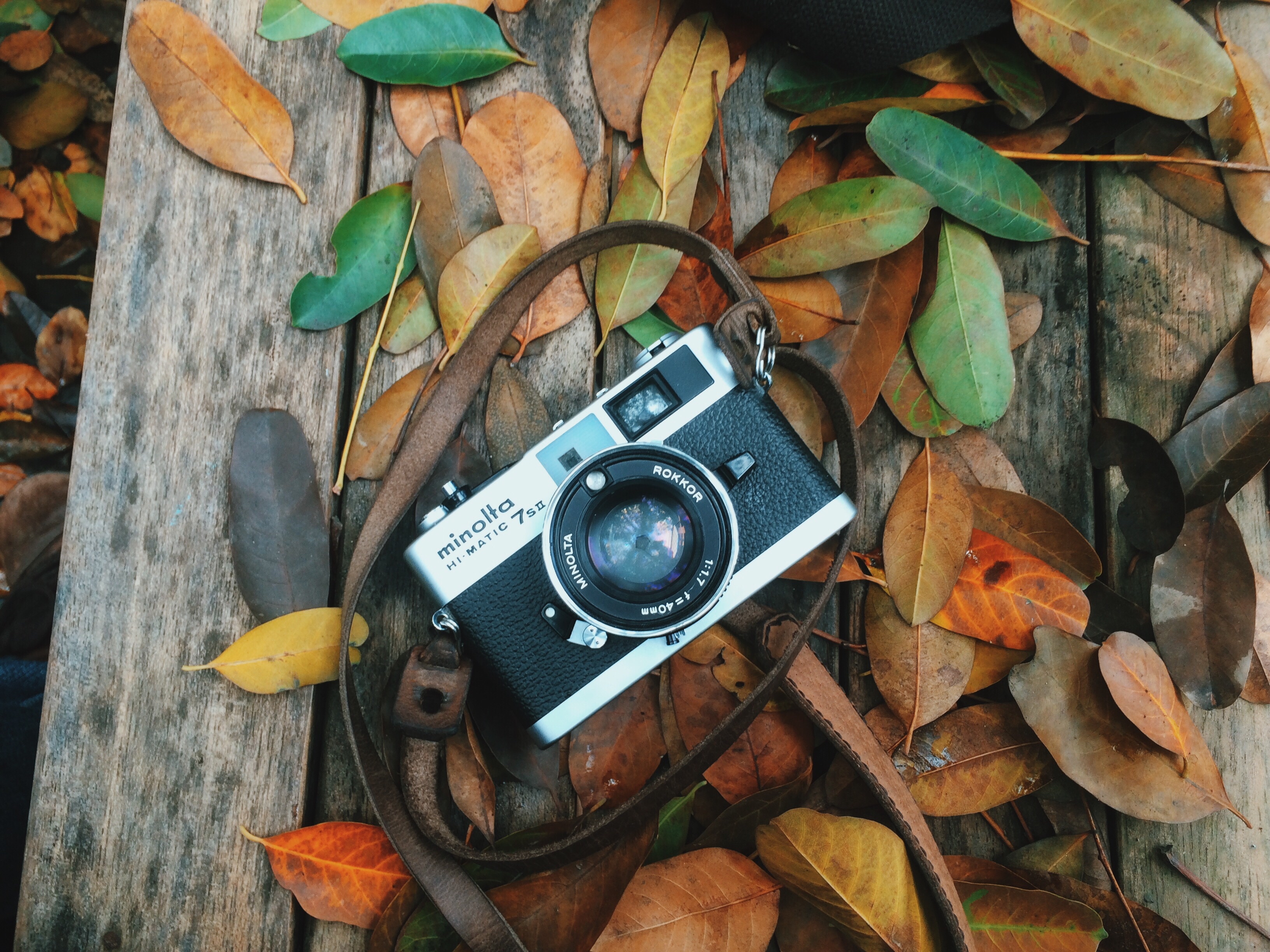 man made, camera, fall, leaf, minolta