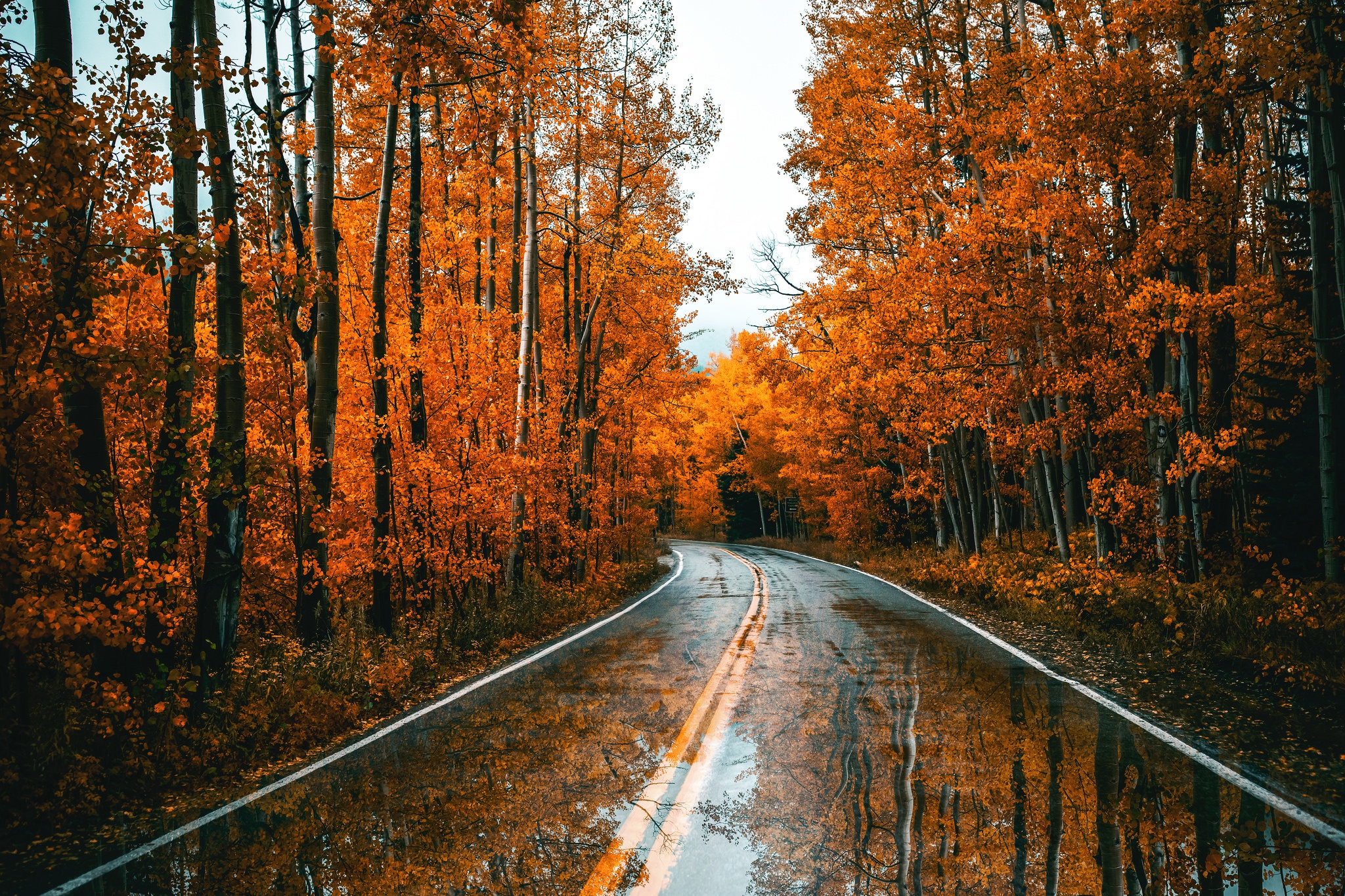 Download mobile wallpaper Nature, Reflection, Road, Forest, Fall, Man Made for free.