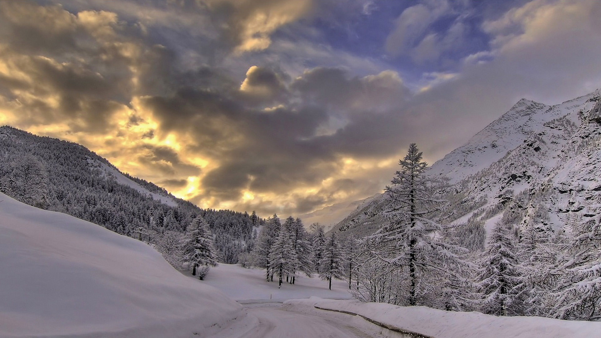 PCデスクトップに風景, 冬, 木, 雪, 道, 森, 地球, クラウド画像を無料でダウンロード