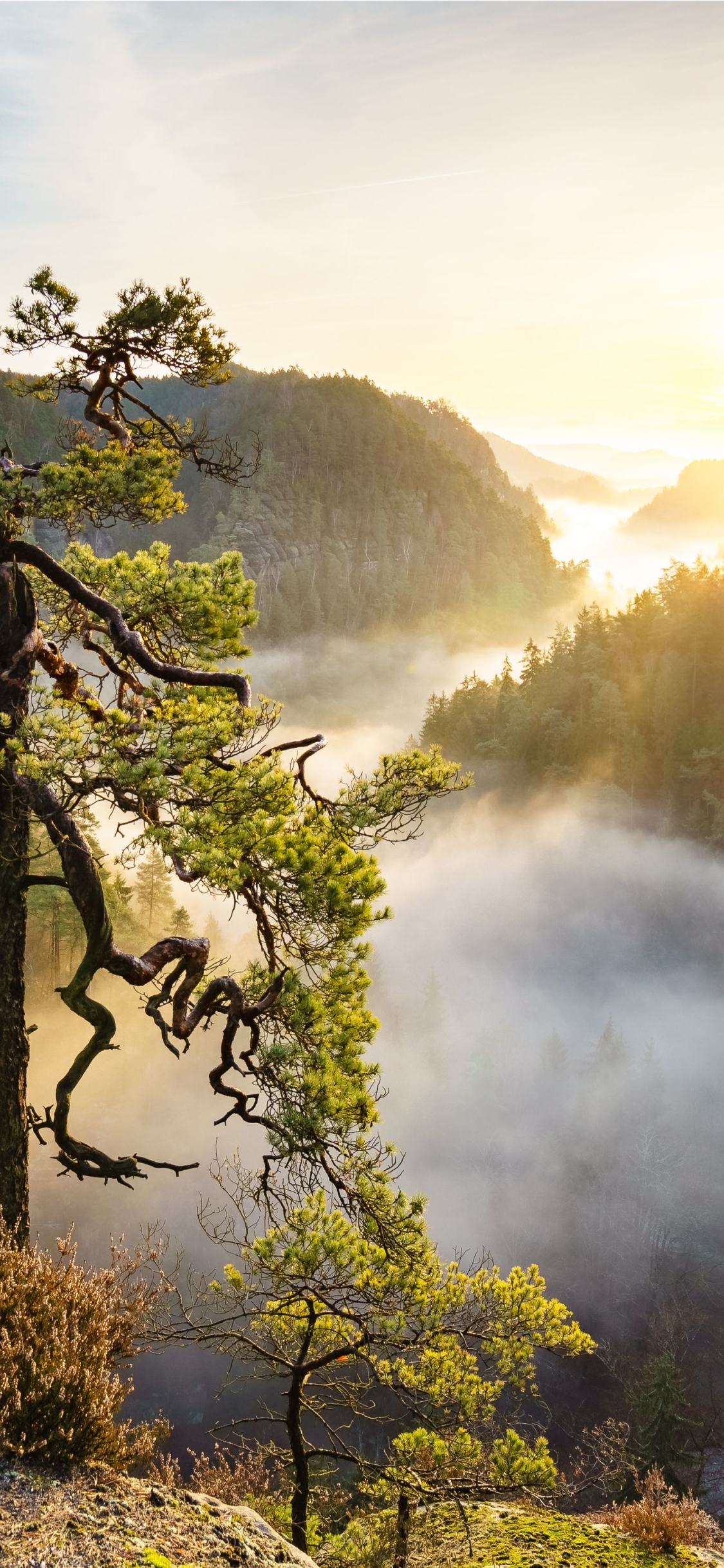 Descarga gratuita de fondo de pantalla para móvil de Naturaleza, Amanecer, Montaña, Niebla, Valle, Tierra/naturaleza.