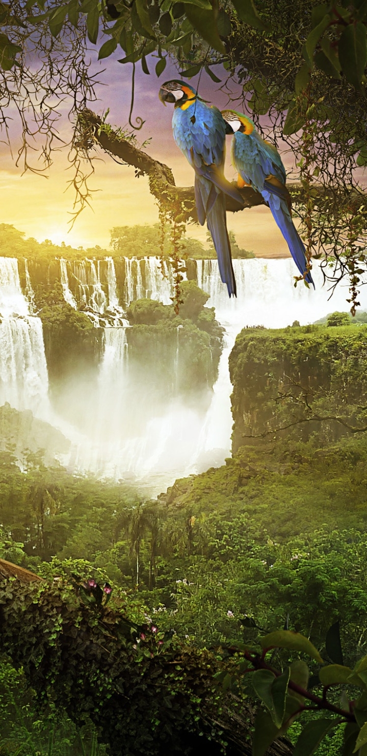Handy-Wallpaper Wasserfall, Dschungel, Papagei, Künstlerisch, Desktopographie, Urwald kostenlos herunterladen.