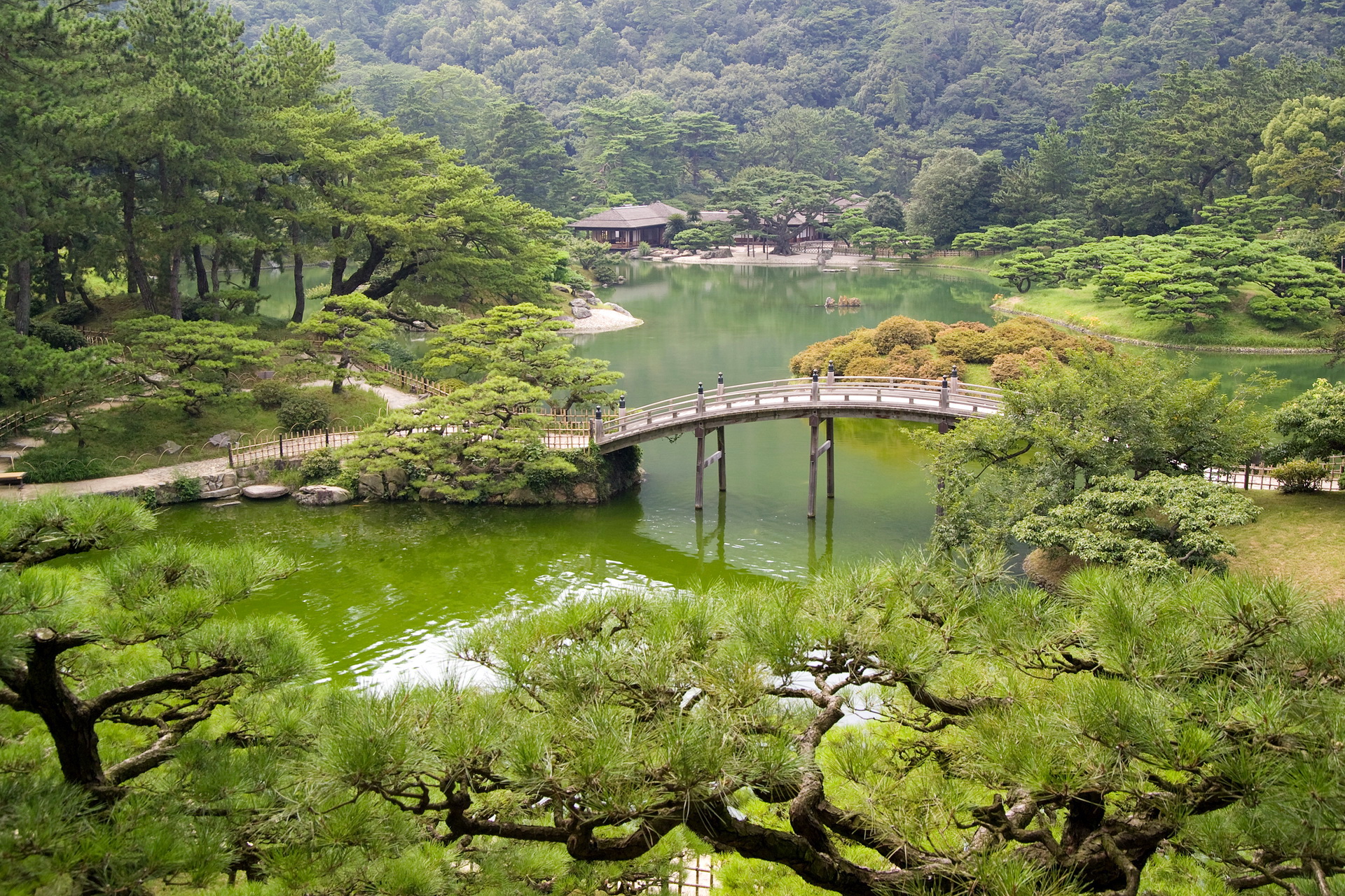 Laden Sie das Park, Fotografie, Orientalisch, Asiatinnen-Bild kostenlos auf Ihren PC-Desktop herunter