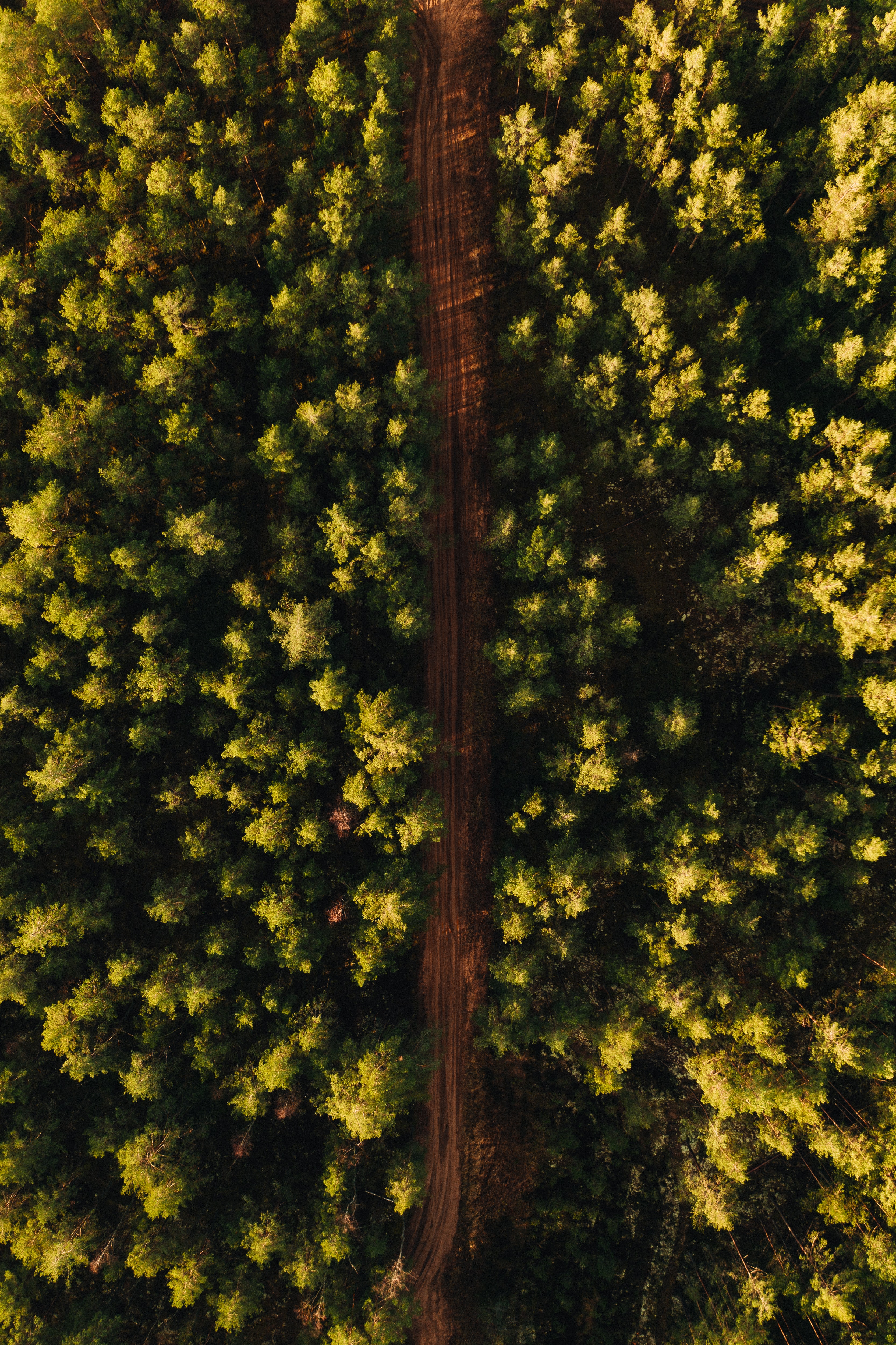 Download mobile wallpaper Nature, Trees, Forest, View From Above, Road for free.