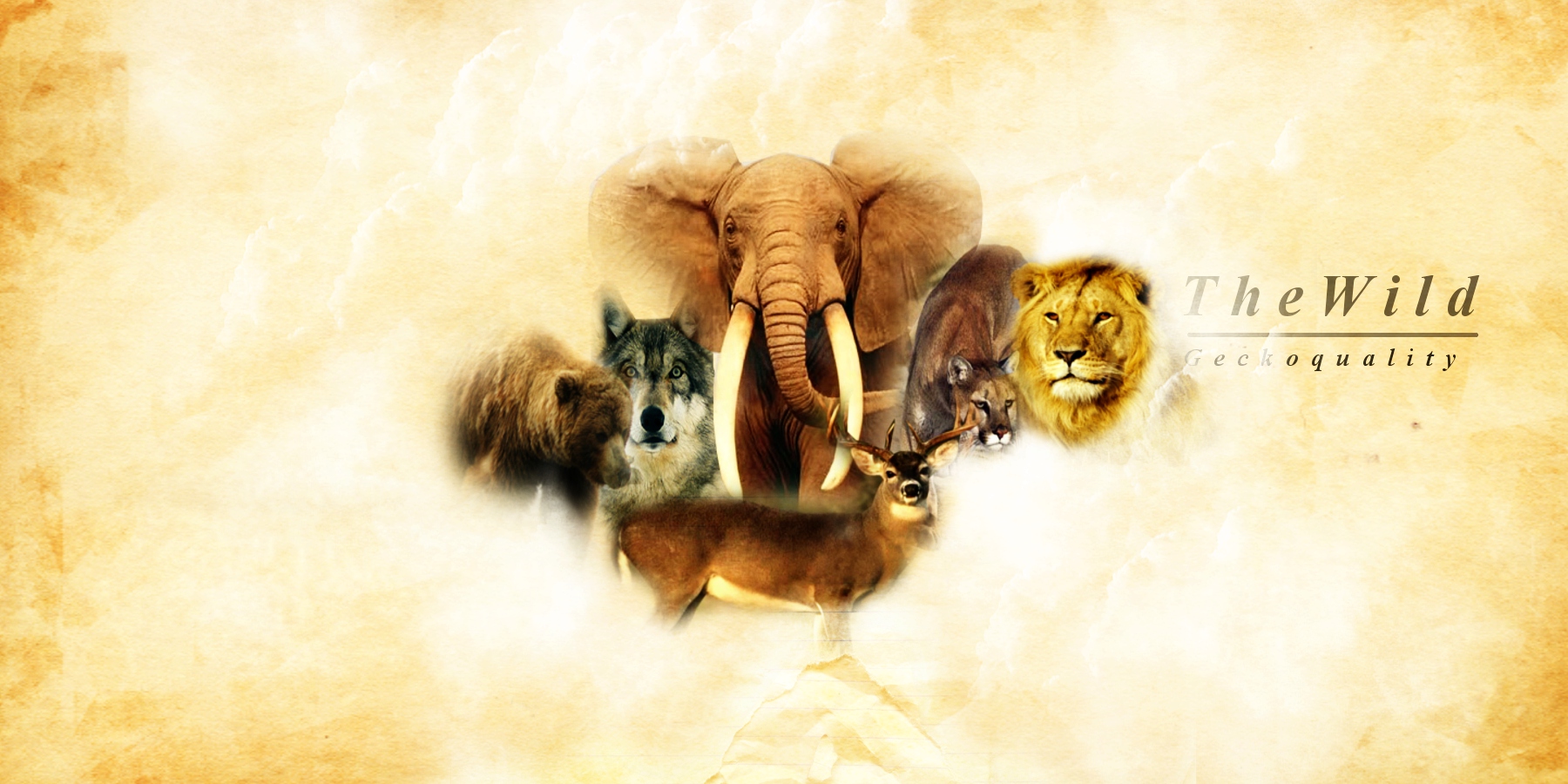 Download mobile wallpaper Bear, Lion, Collage, Wolf, Animal, Deer, Elephant, Cougar for free.