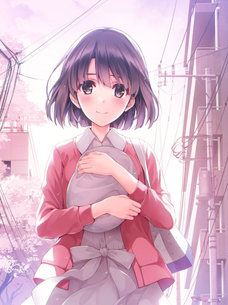 Descarga gratuita de fondo de pantalla para móvil de Animado, Saenai Hiroin No Sodatekata.