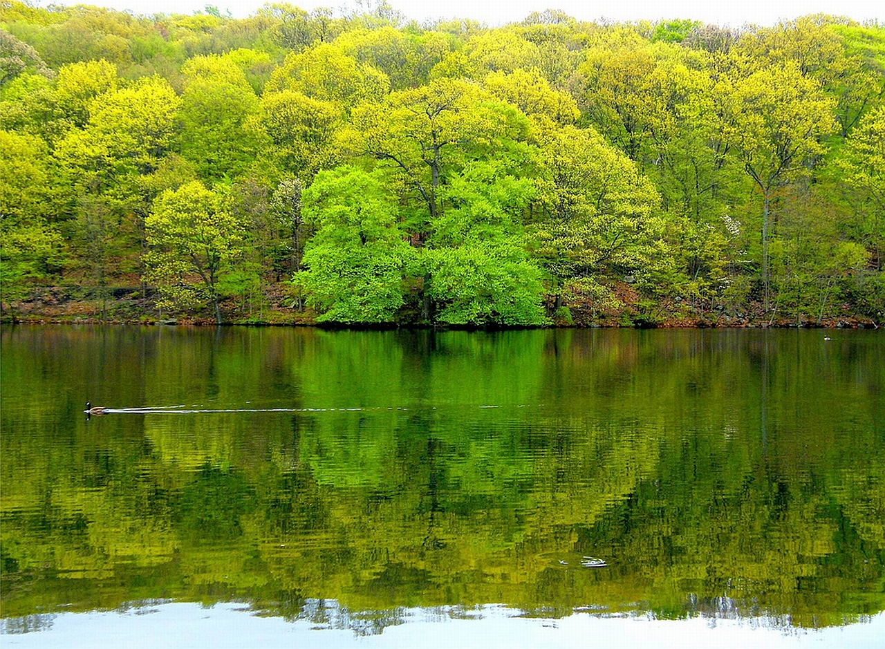 Baixar papel de parede para celular de Lago, Terra/natureza gratuito.