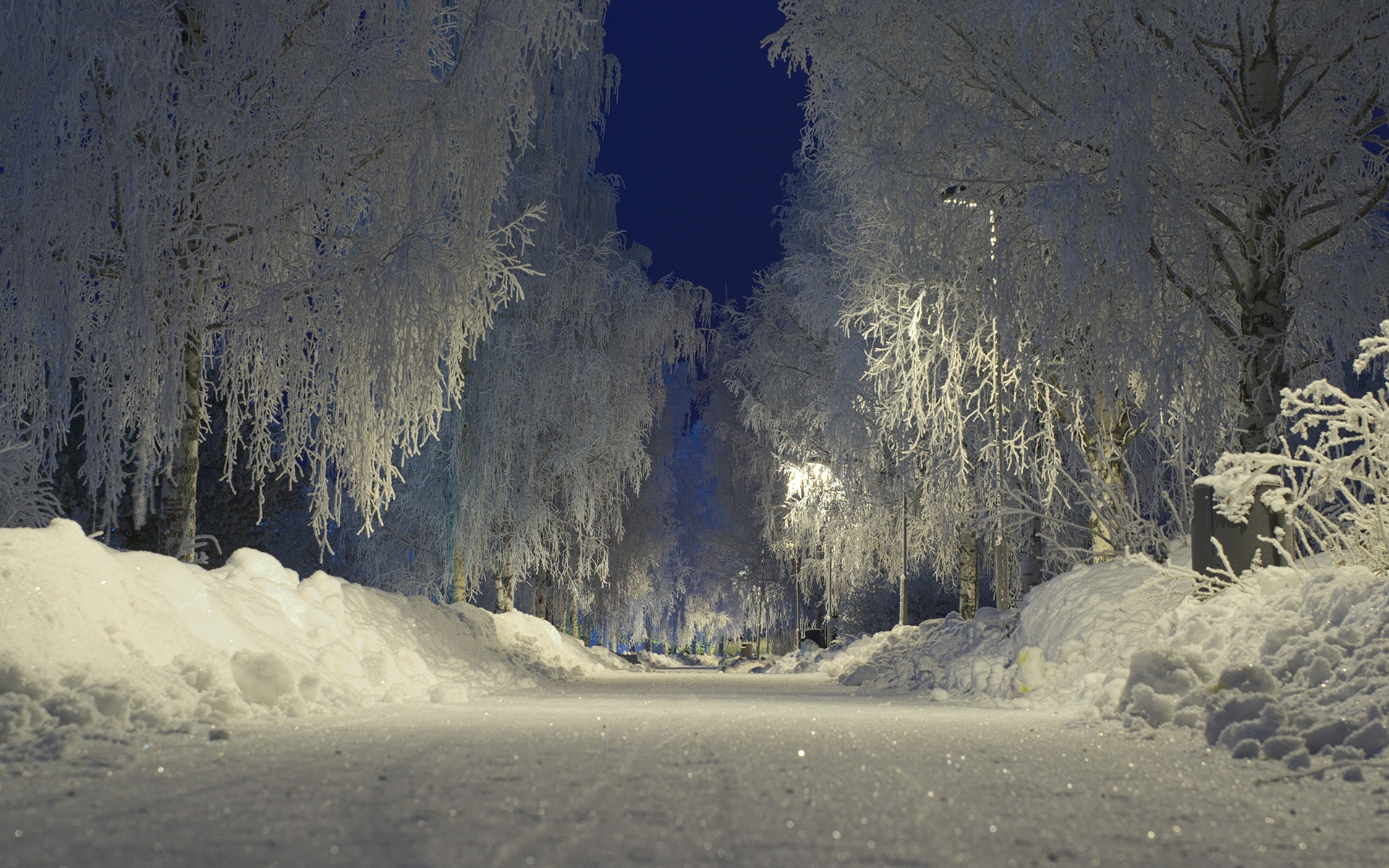 Download mobile wallpaper Winter, Snow, Road, Tree, Earth, Photography for free.