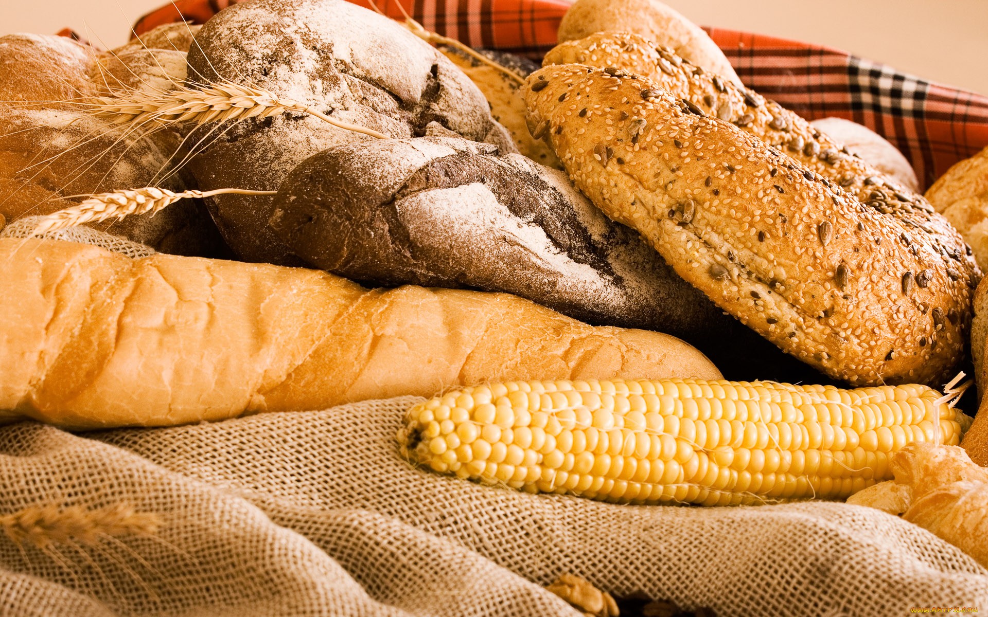 food, bread, corn