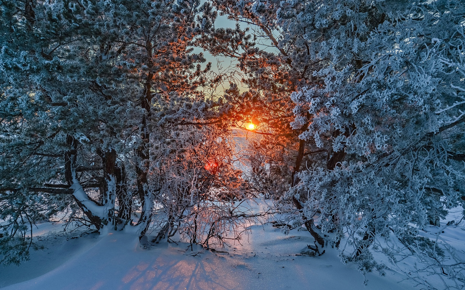 Téléchargez des papiers peints mobile Hiver, Terre/nature gratuitement.