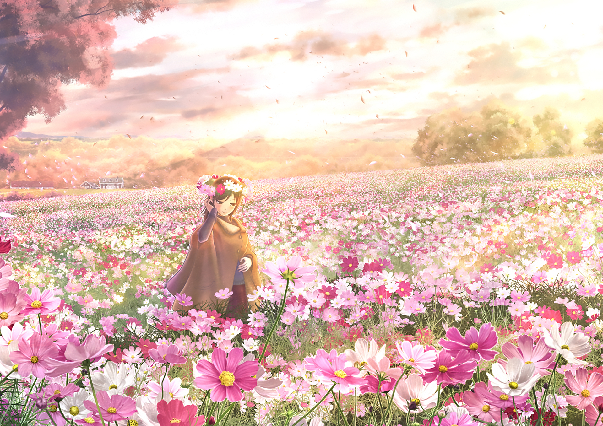 Handy-Wallpaper Blume, Baum, Sonnenlicht, Original, Animes kostenlos herunterladen.