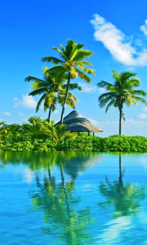 Download mobile wallpaper Sea, Horizon, Ocean, Island, Tropical, Resort, Man Made, Palm Tree for free.