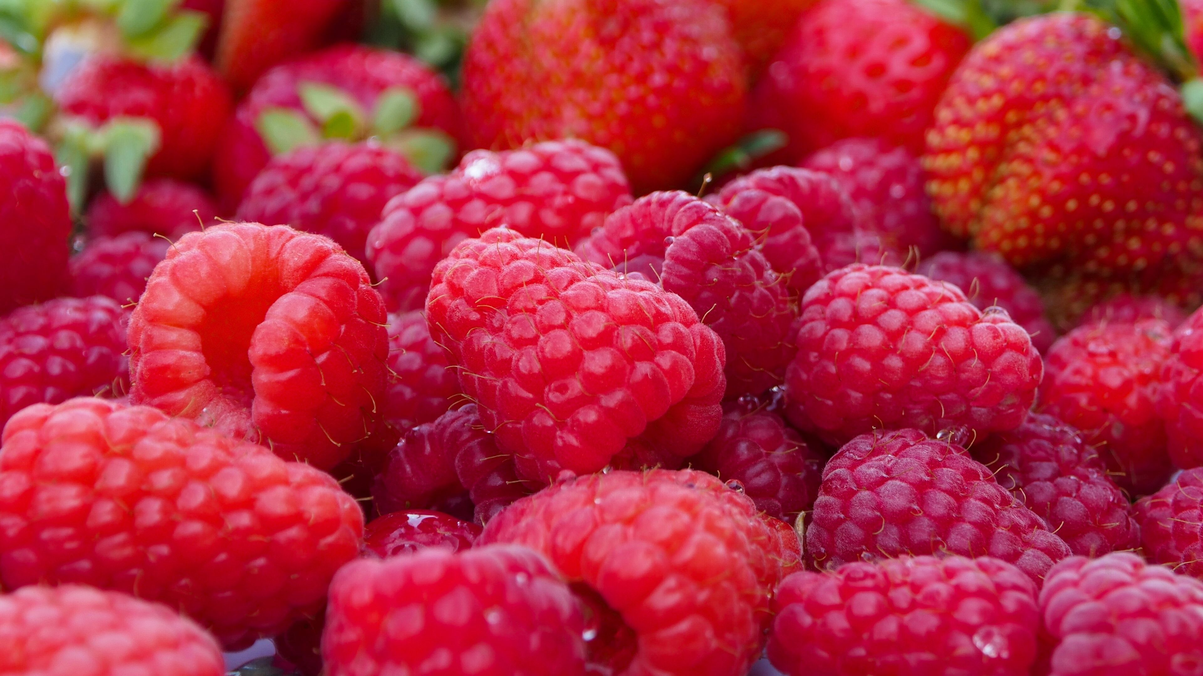 ripe, food, raspberry, berries, lots of, multitude