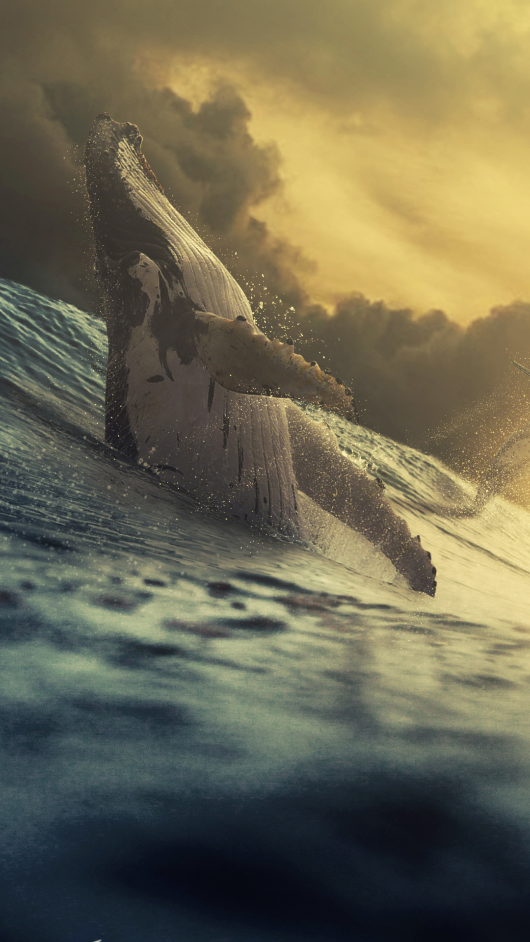 HD wallpaper animal, whale, humpback whale, breaching, ocean