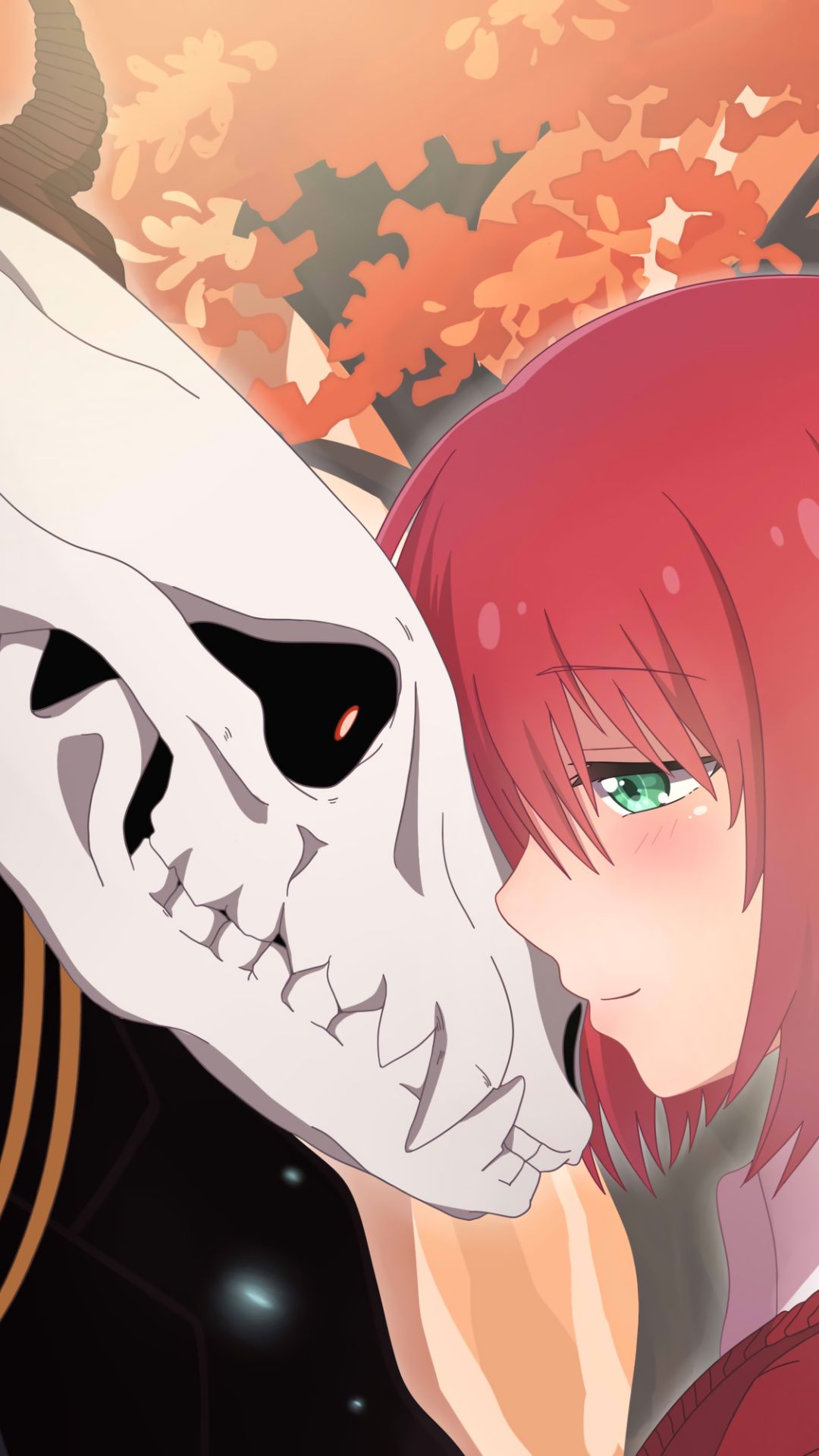 Download mobile wallpaper Anime, The Ancient Magus' Bride for free.