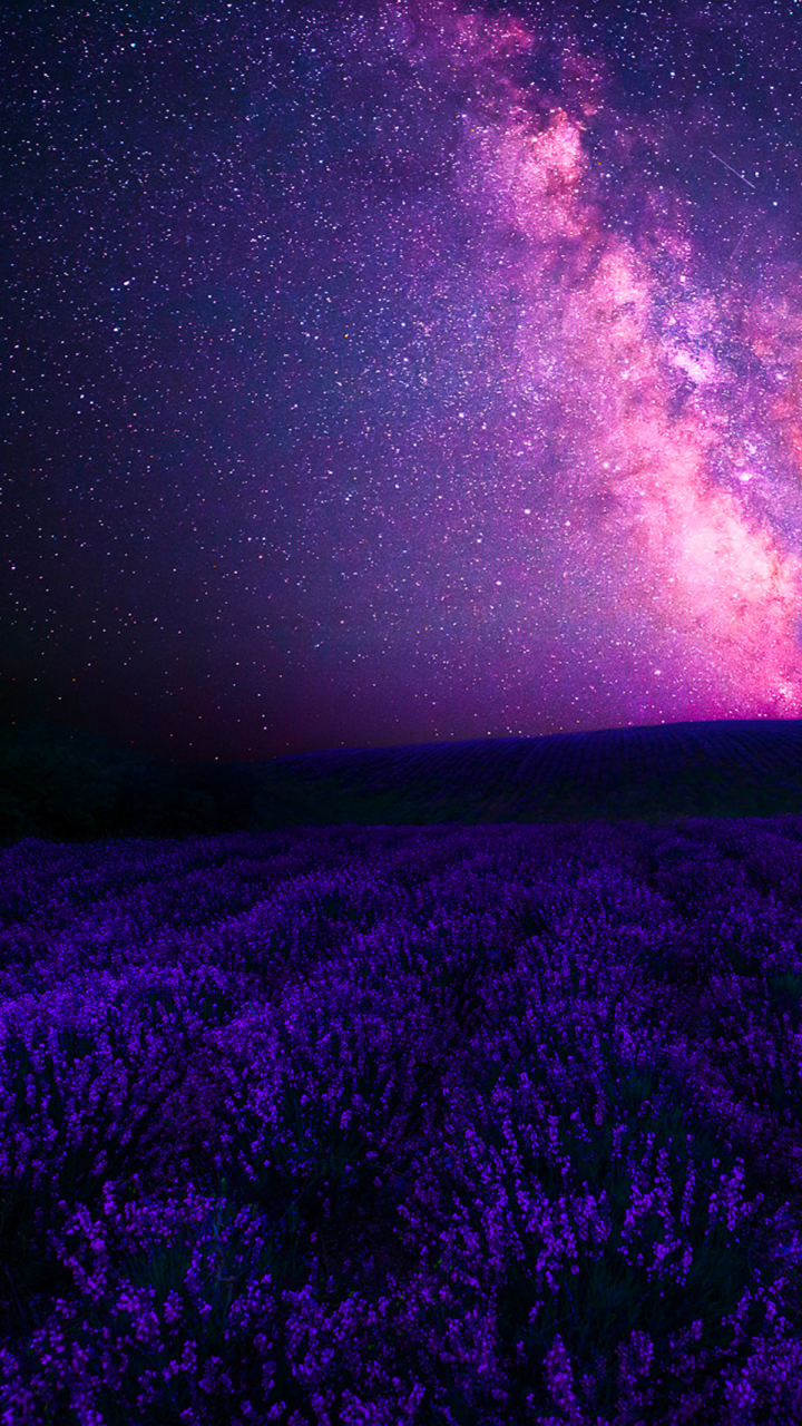 Download mobile wallpaper Fantasy, Sky, Stars, Starry Sky, Field, Milky Way, Purple, Lavender for free.