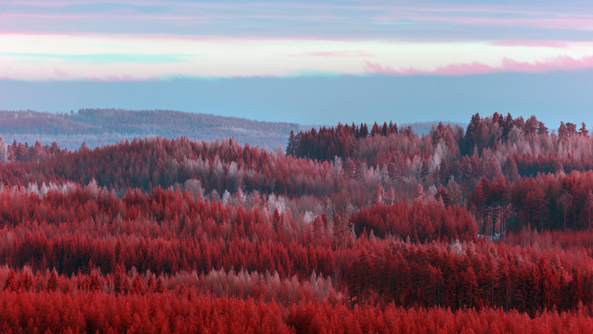 Handy-Wallpaper Landschaft, Natur, Herbst, Wald, Erde/natur, Luftbildfotografie kostenlos herunterladen.