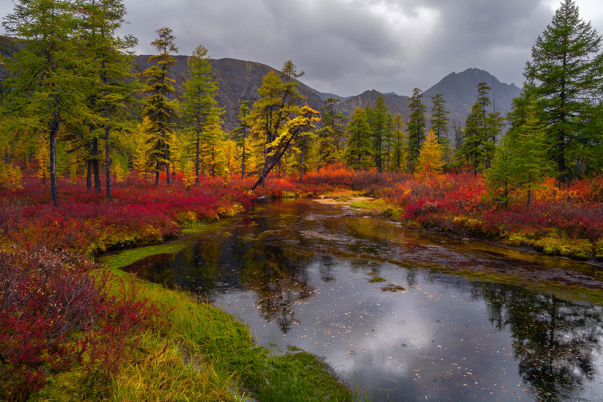 Скачать обои бесплатно Природа, Река, Осень, Отражение, Дерево, Земля/природа картинка на рабочий стол ПК