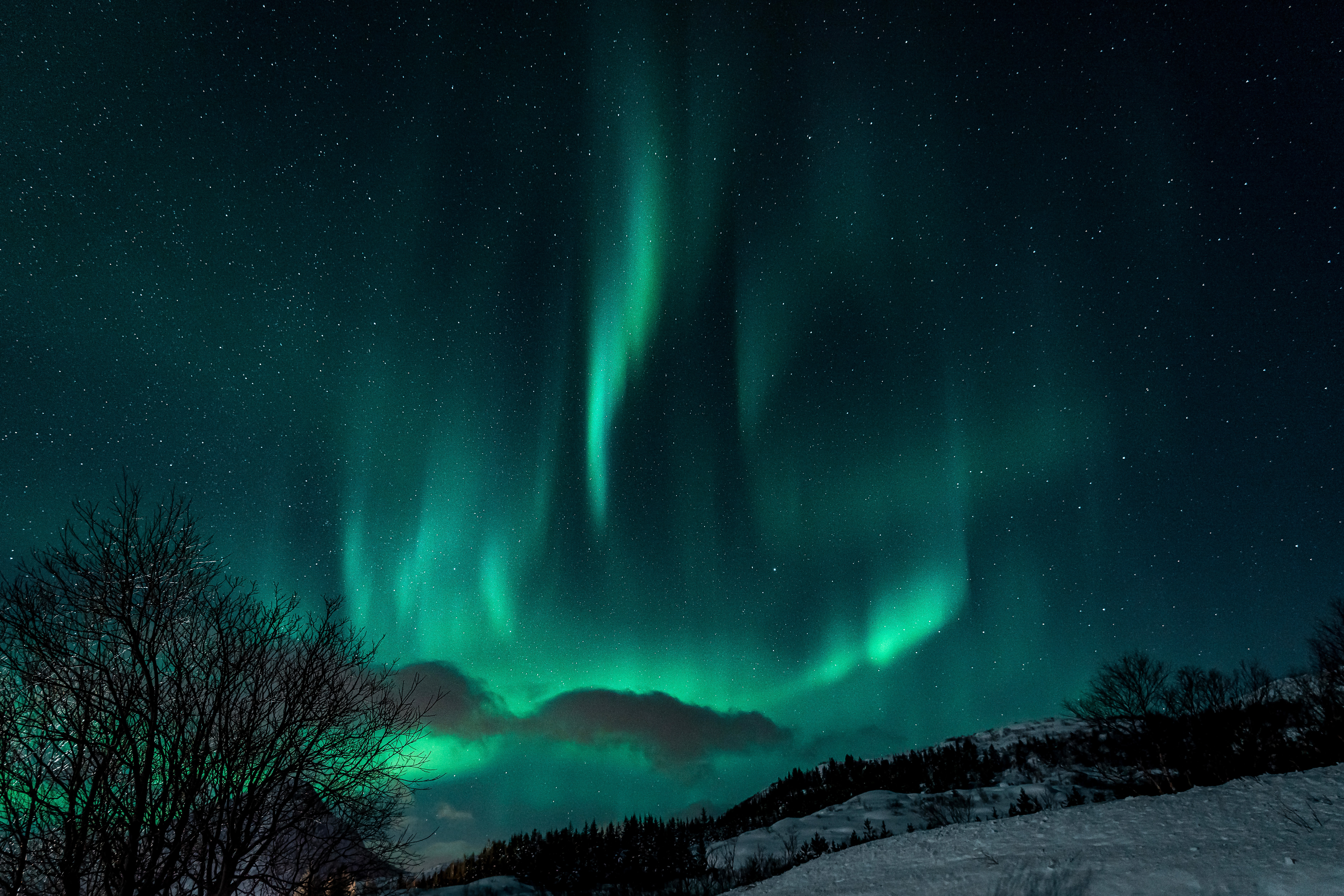 aurora borealis, northern lights, winter, nature, night, snow, dark