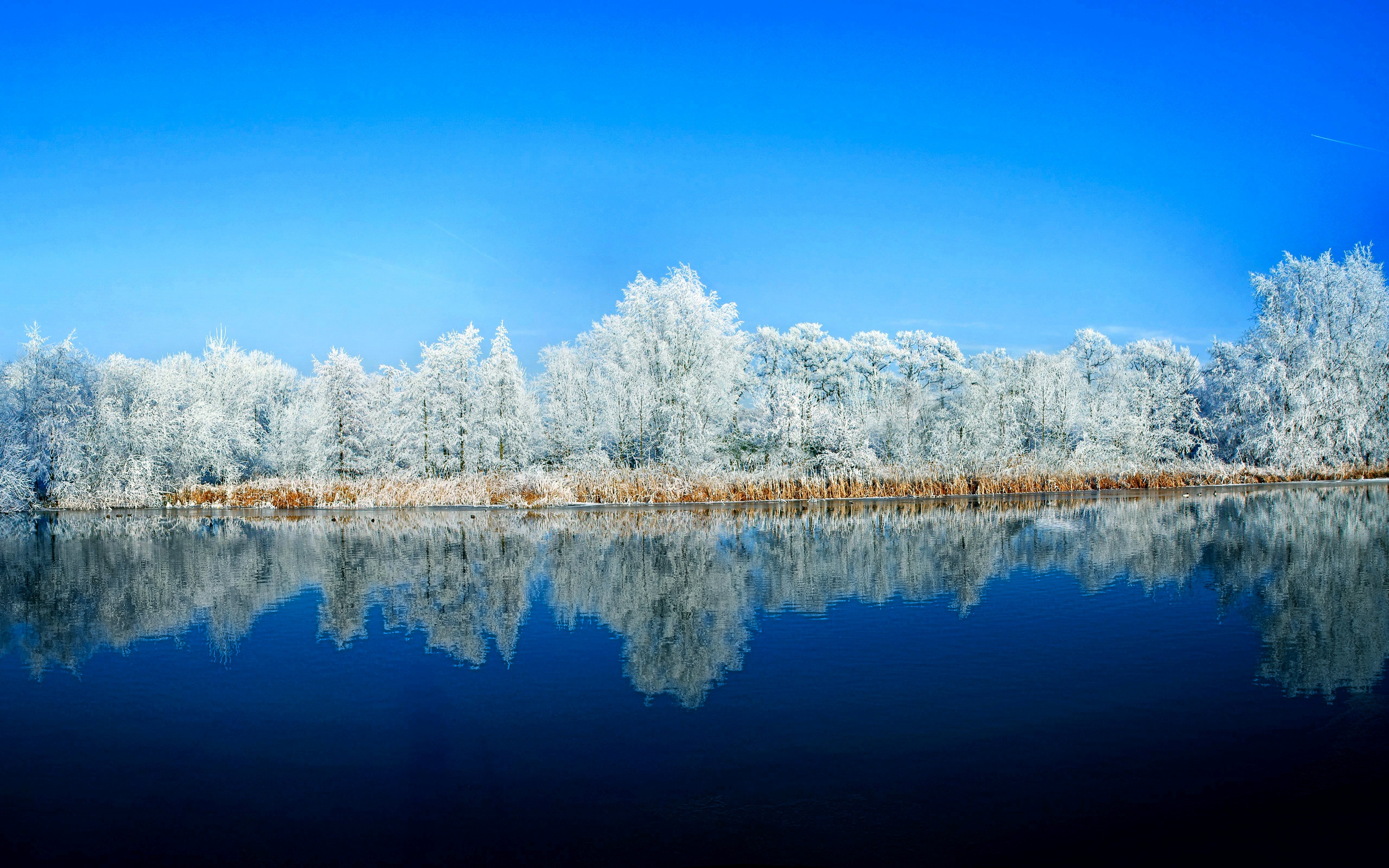 無料モバイル壁紙冬, 自然, 水, 木, 雪, 反射, 青い, 地球をダウンロードします。