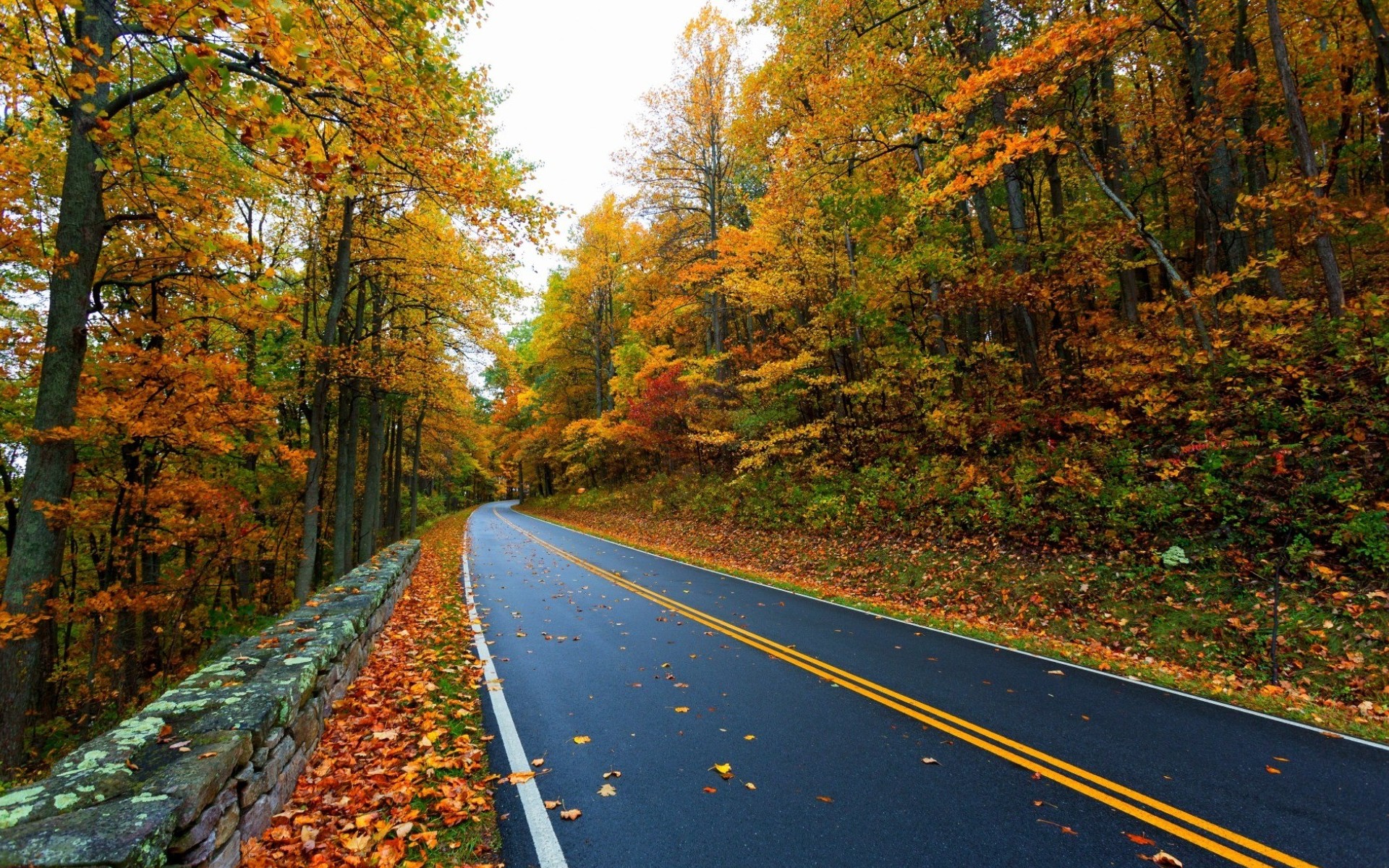 Free download wallpaper Road, Tree, Leaf, Fall, Man Made on your PC desktop
