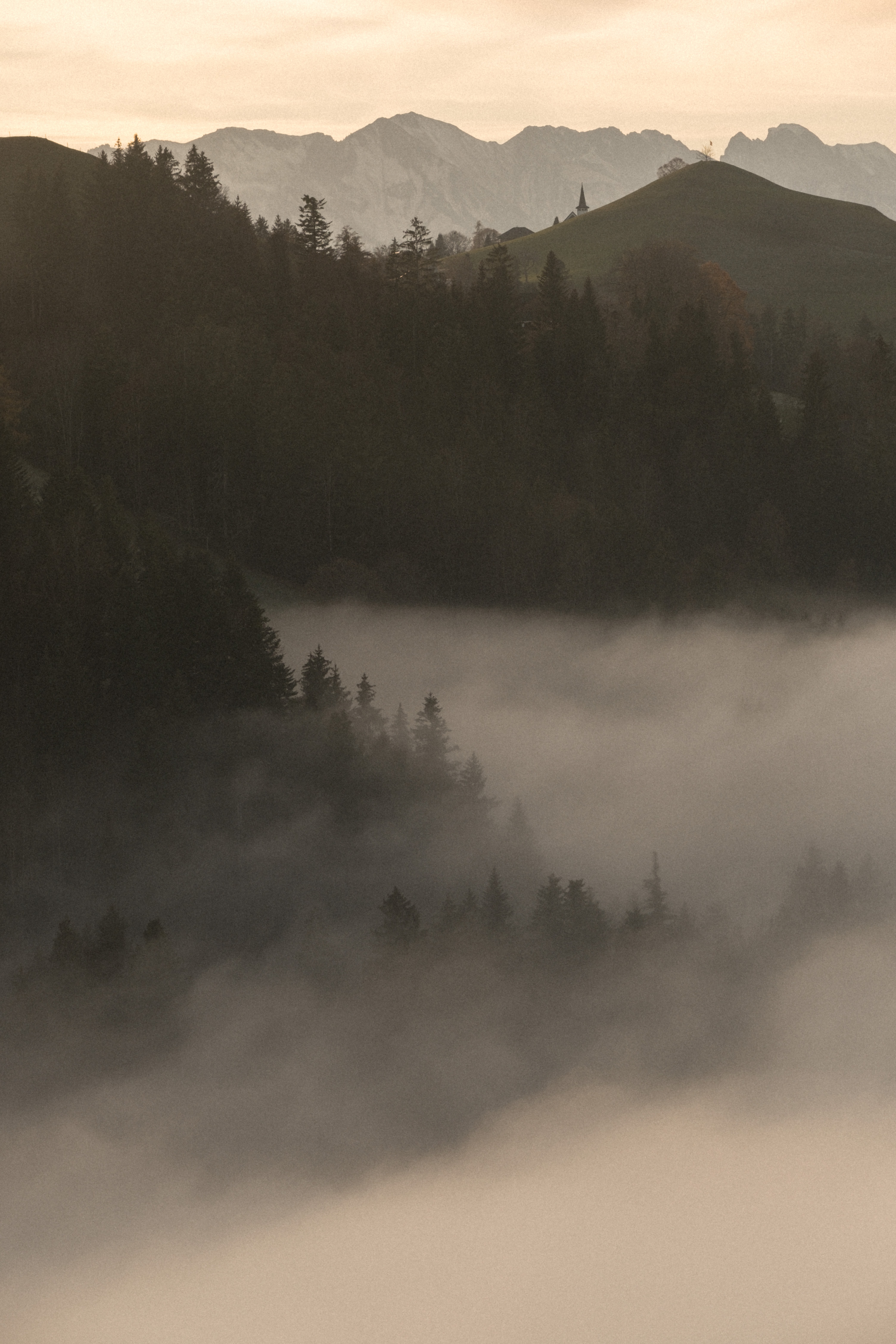Téléchargez des papiers peints mobile Montagnes, Nature, Crépuscule, Brouillard, Arbres gratuitement.