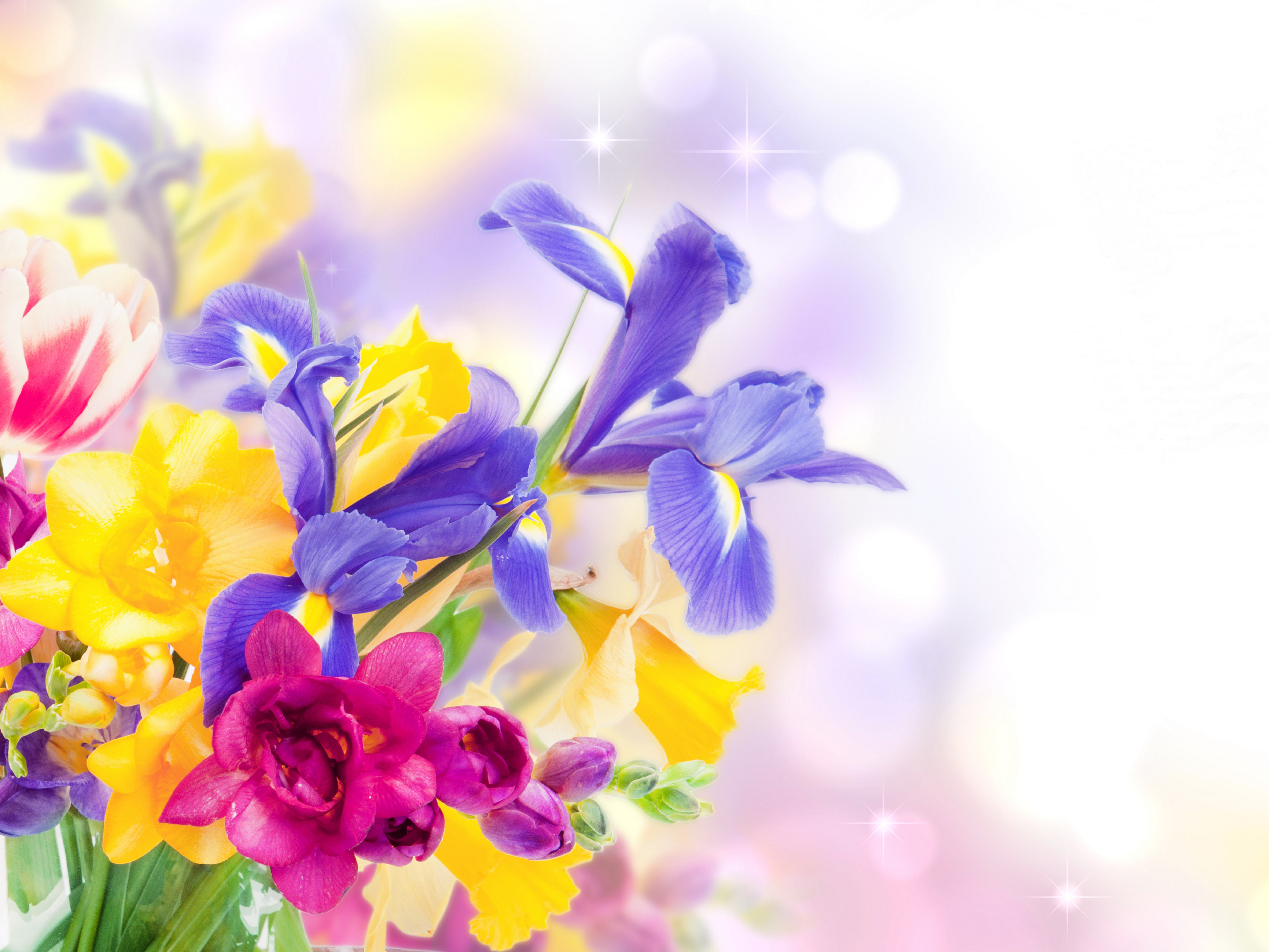 Laden Sie das Blume, Strauß, Schwertlilien, Gelbe Blume, Menschengemacht, Pinke Blume, Blaue Blume-Bild kostenlos auf Ihren PC-Desktop herunter
