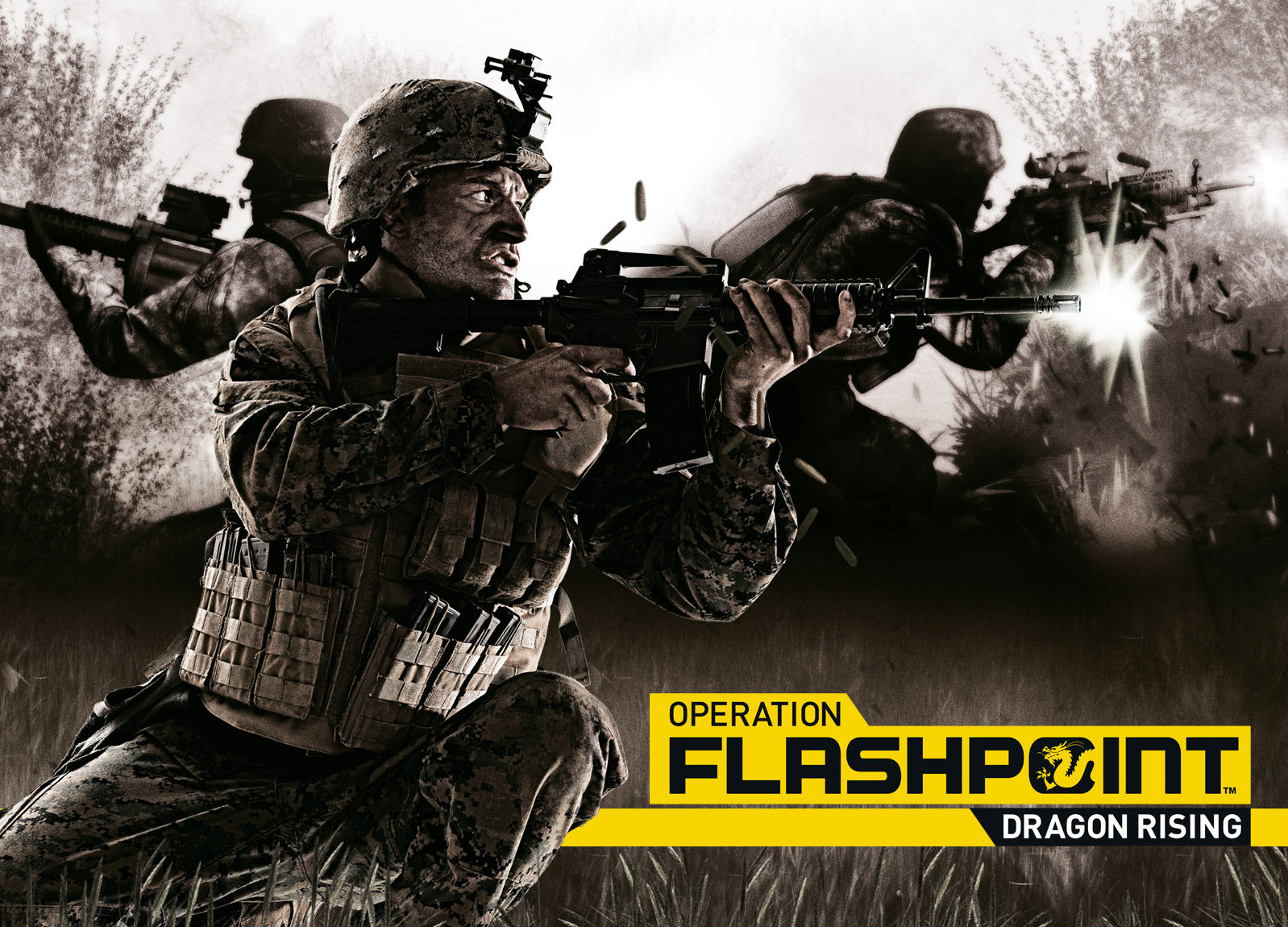 Descargar fondos de escritorio de Operation Flashpoint: Dragon Rising HD