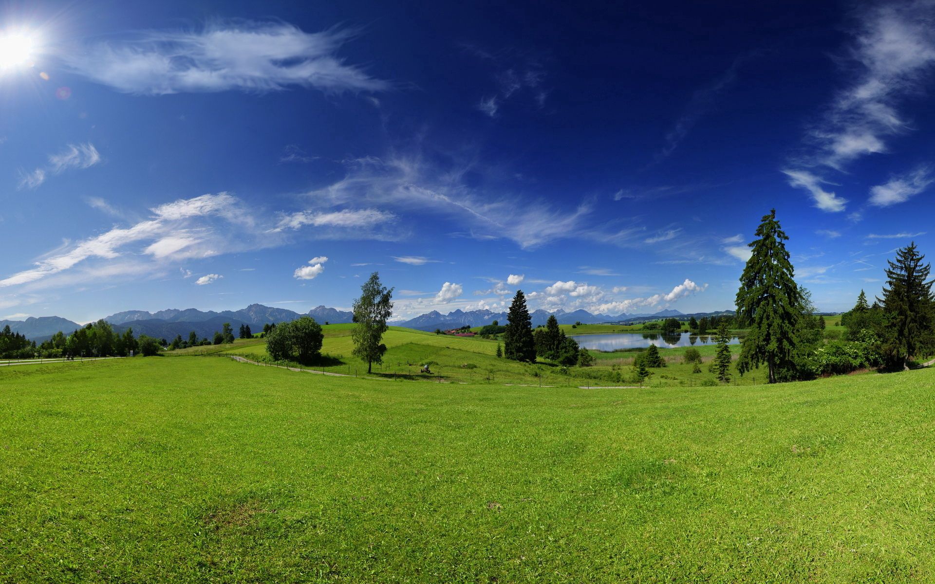 desktop Images nature, green, sky, plain, trees, summer, meadow, sunny, heat, warmth