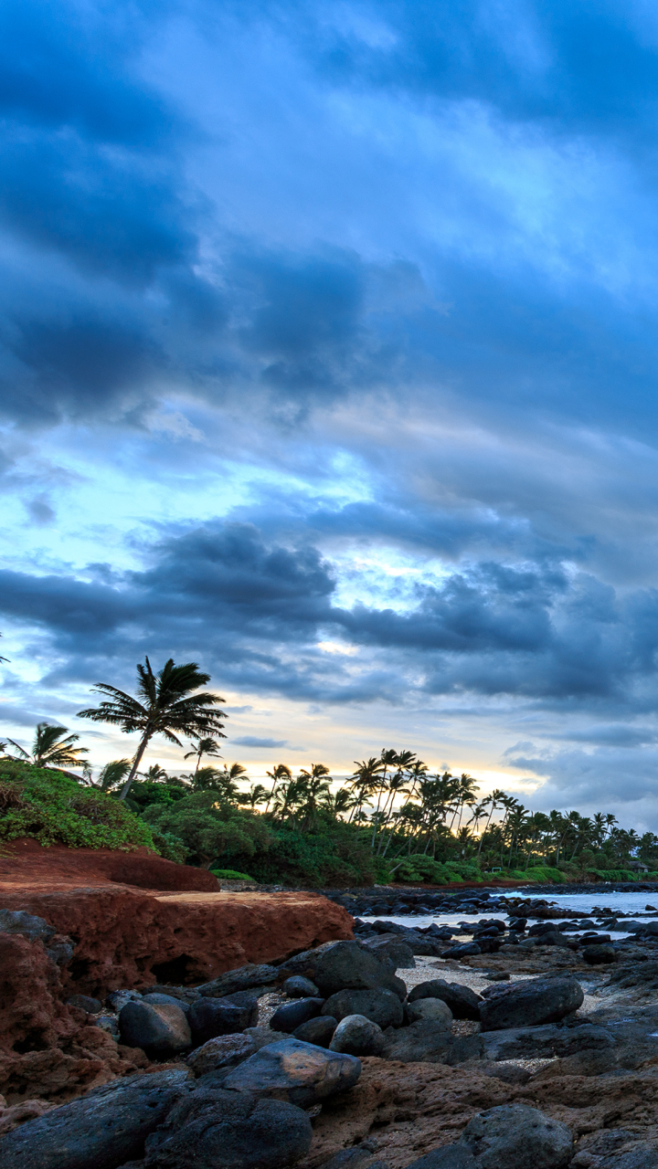 Download mobile wallpaper Nature, Ocean, Earth, Stone, Cloud, Hawaii, Coastline, Palm Tree for free.