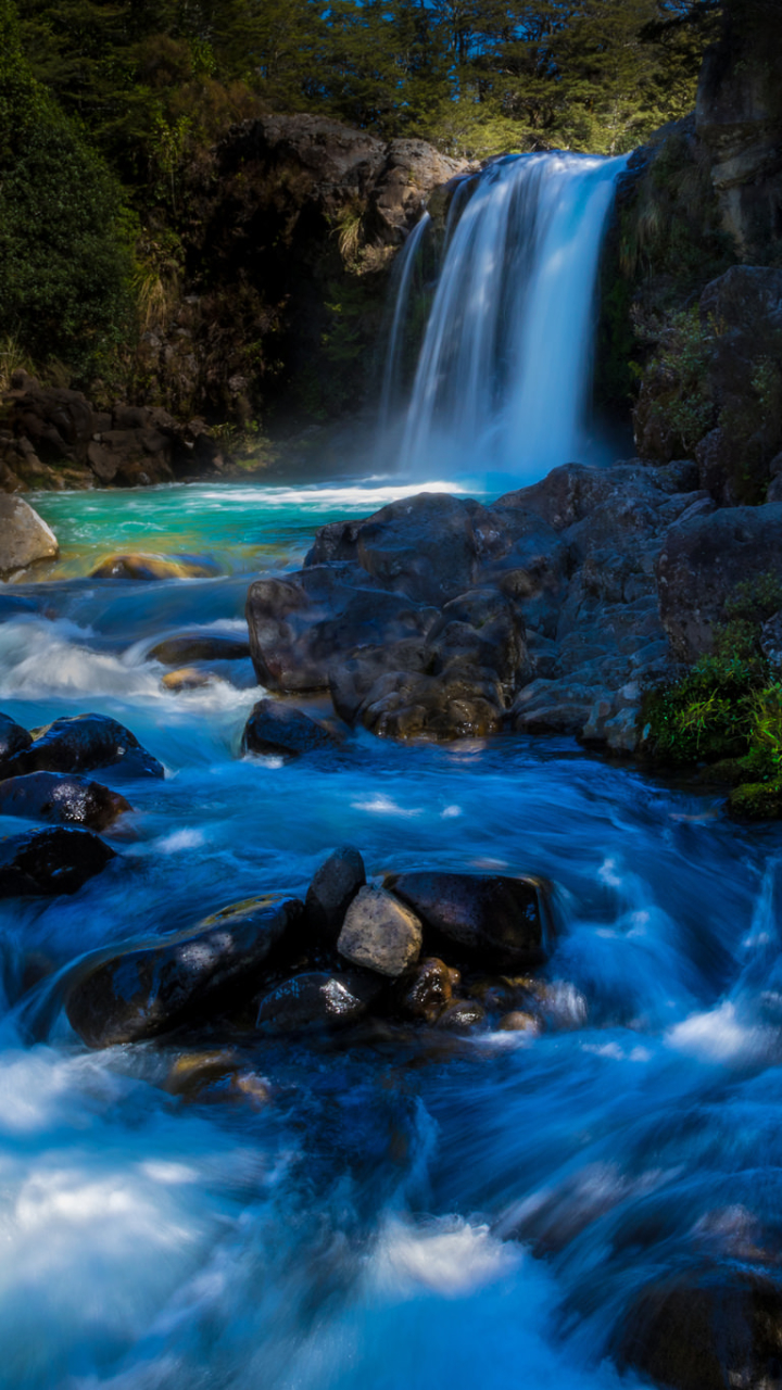 Handy-Wallpaper Wasserfälle, Neuseeland, Wasserfall, Wald, Erde/natur kostenlos herunterladen.