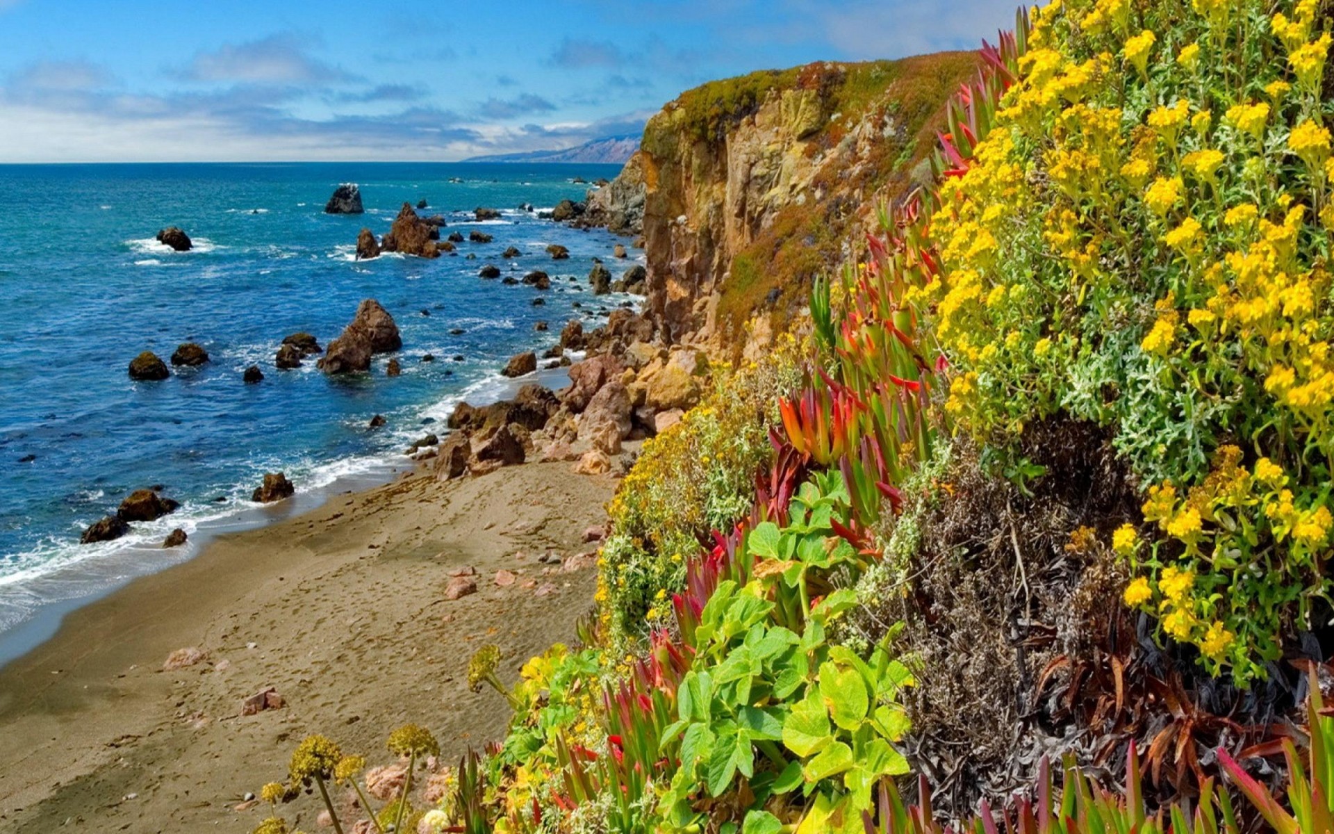 Baixe gratuitamente a imagem Flor, Oceano, Linha Costeira, Terra/natureza na área de trabalho do seu PC