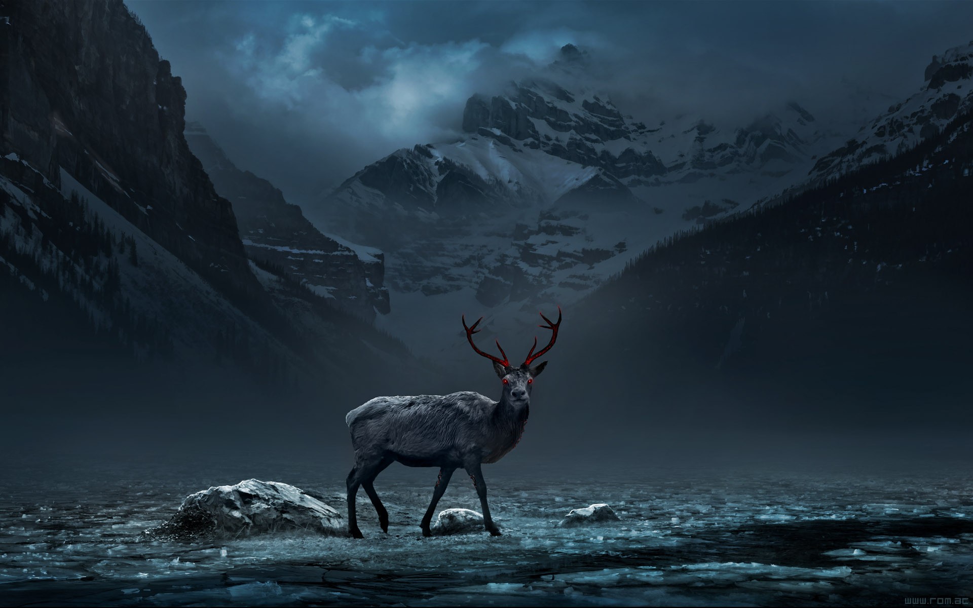 Free download wallpaper Animal, Deer on your PC desktop