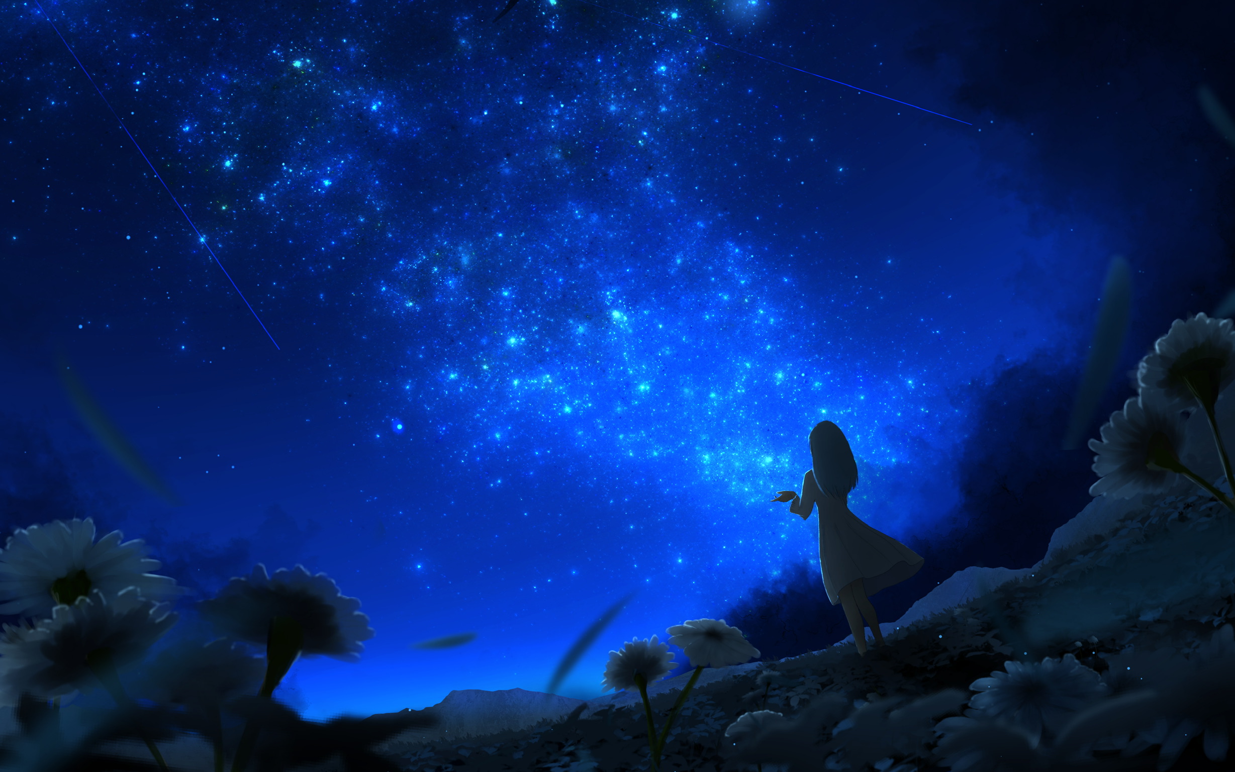 Скачать картинку Аниме, Небо, Ночь, Цветок, Звездное Небо, Оригинал в телефон бесплатно.