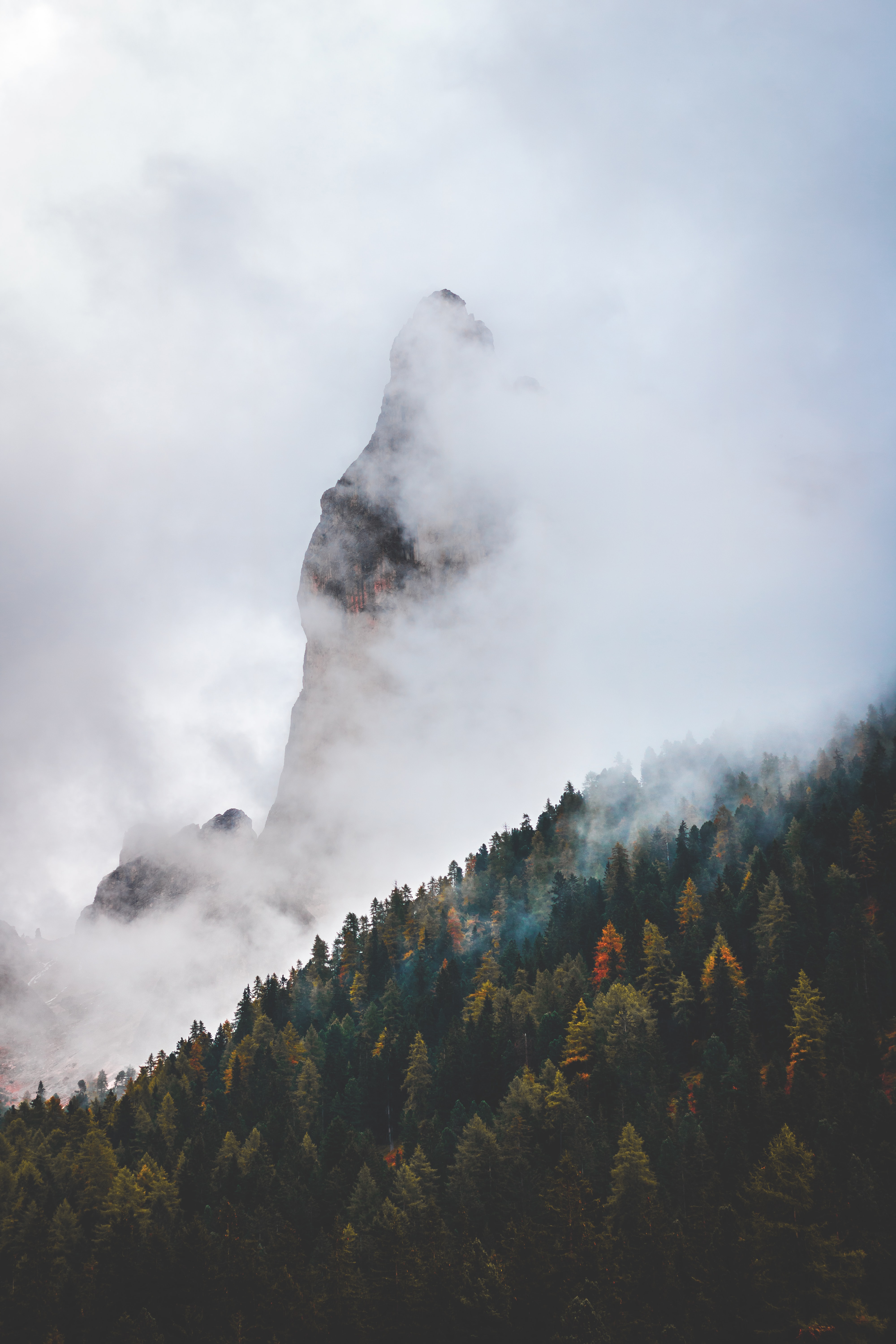 Descarga gratis la imagen Naturaleza, Nubes, Montaña, Arriba, Bosque, Vértice en el escritorio de tu PC