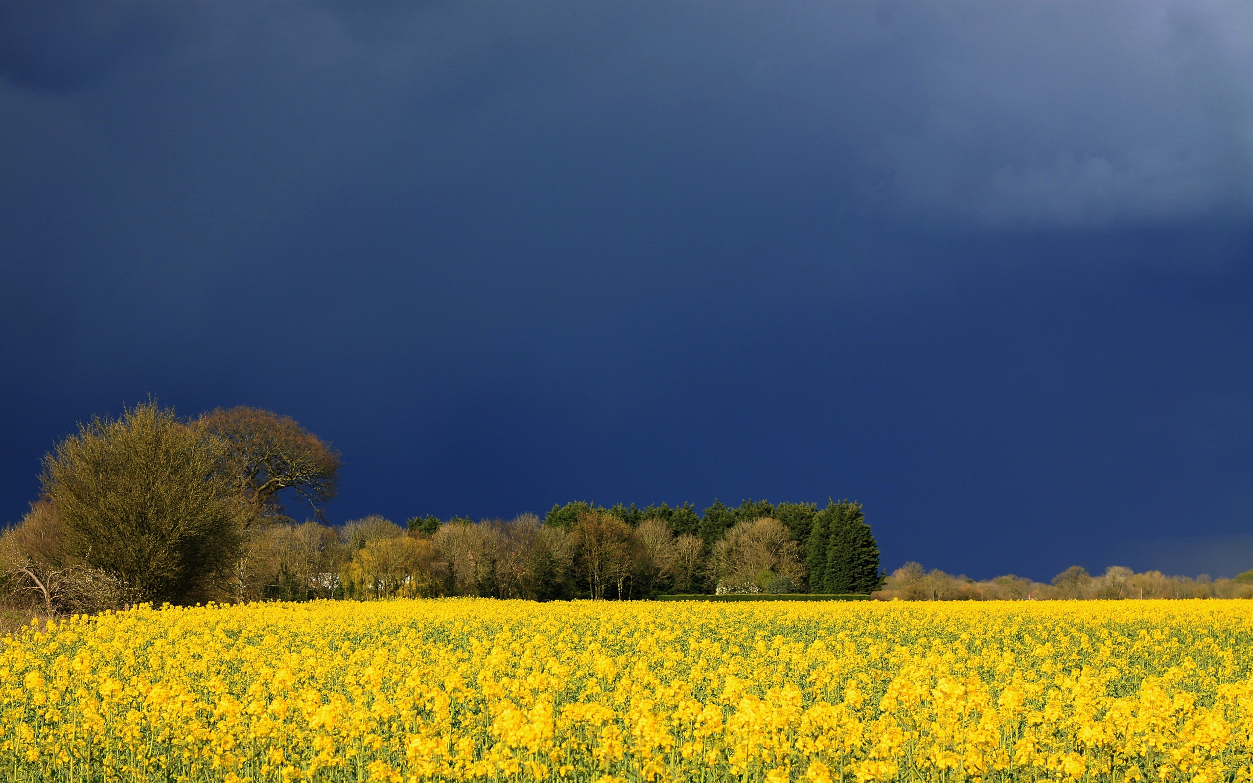 Handy-Wallpaper Landschaft, Erde/natur kostenlos herunterladen.