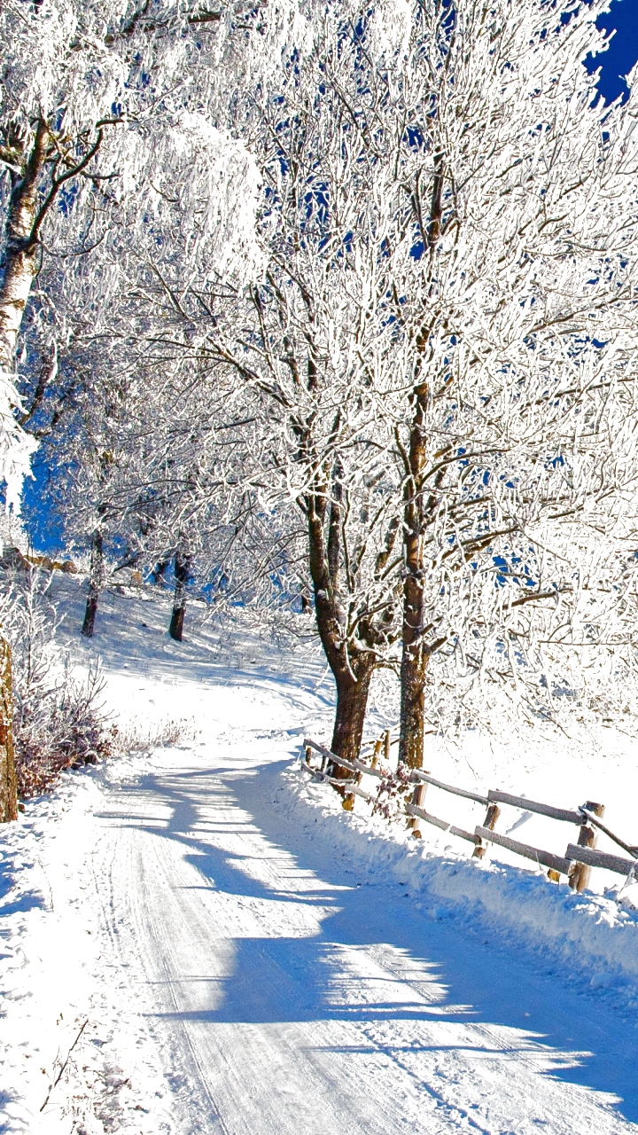 Download mobile wallpaper Winter, Snow, Tree, Path, Fence, Photography, Cabin for free.