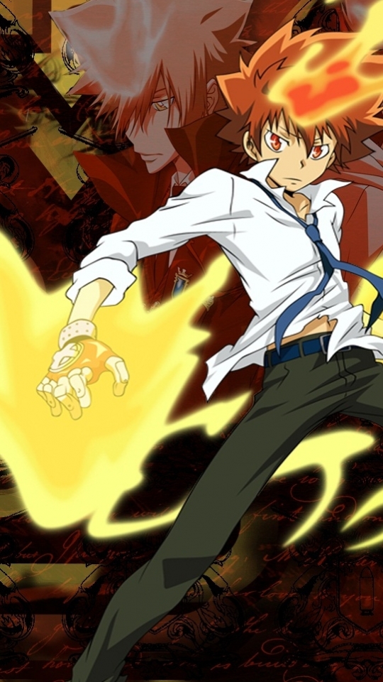 Download mobile wallpaper Anime, Katekyō Hitman Reborn!, Tsunayoshi Sawada for free.