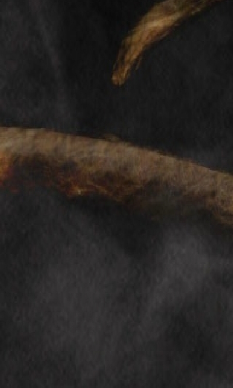  Phone Wallpaper