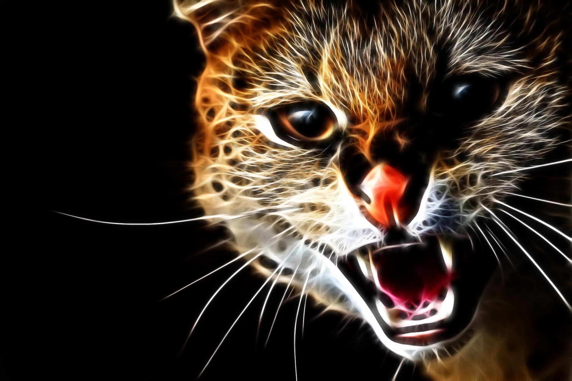 abstract, cat, aggression, grin, muzzle UHD