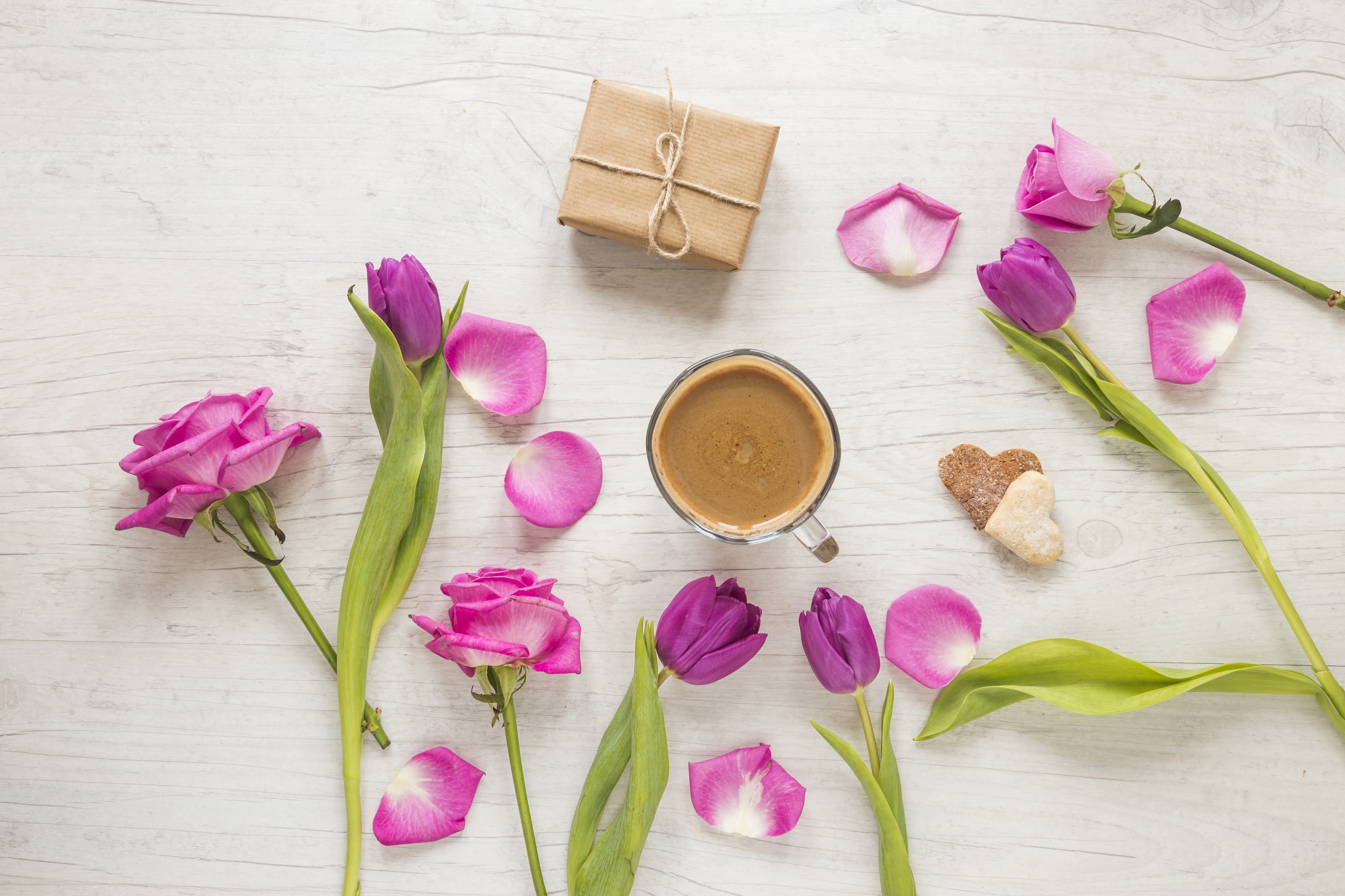 Handy-Wallpaper Blume, Geschenk, Nahrungsmittel, Pinke Blume, Stillleben, Kaffee kostenlos herunterladen.