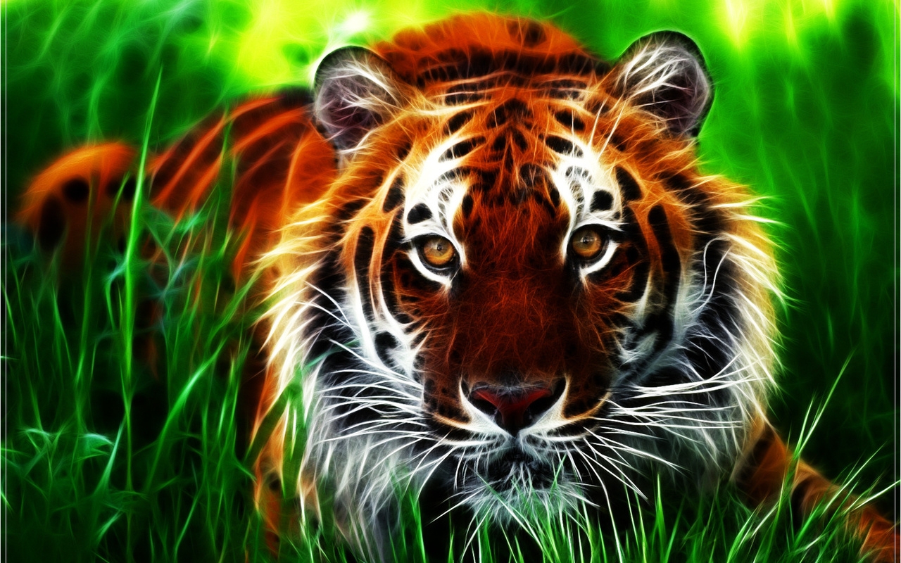 tigers, animals, art photo HD wallpaper