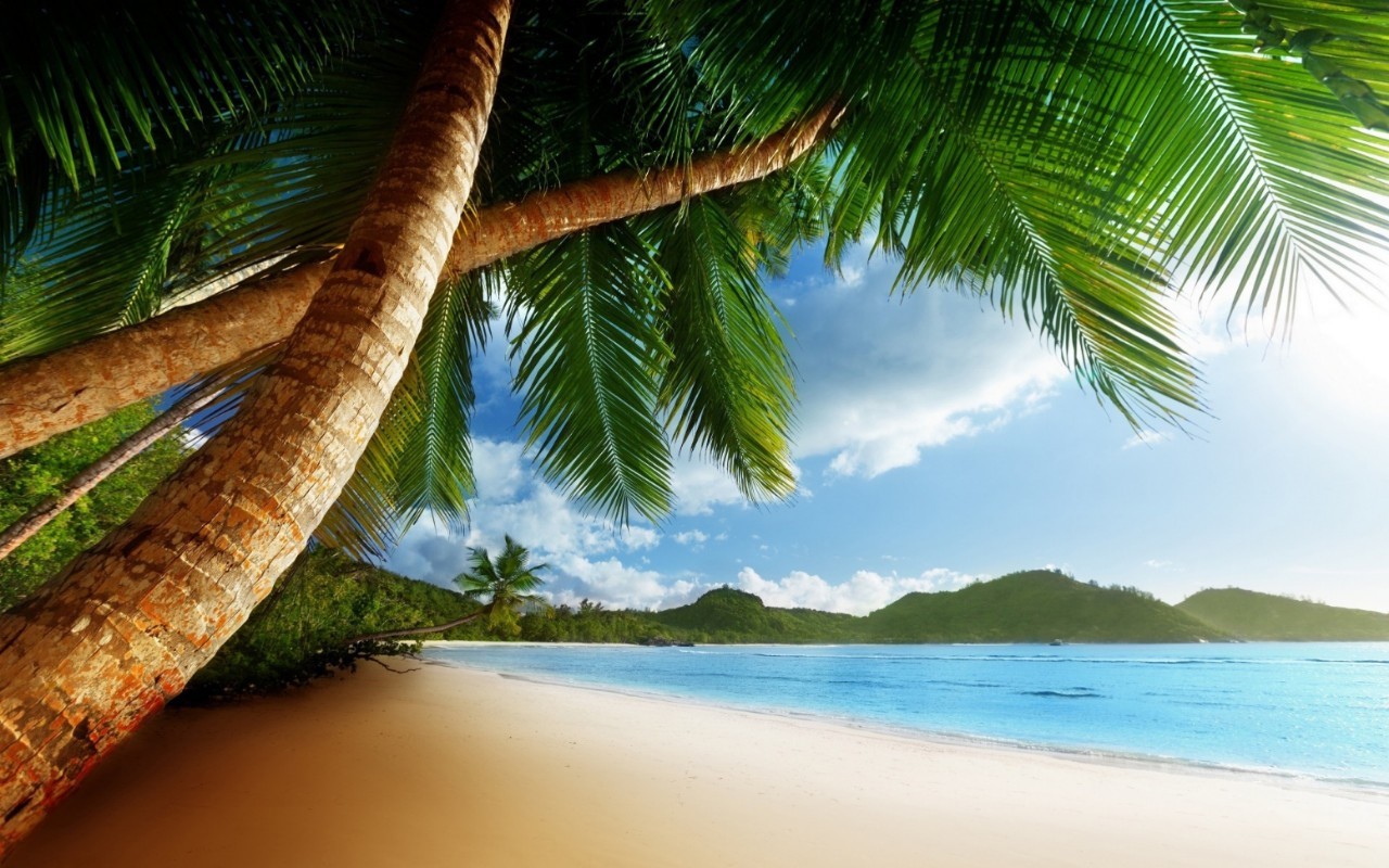 Скачати мобільні шпалери Пляж, Море, Пальми, Пейзаж безкоштовно.