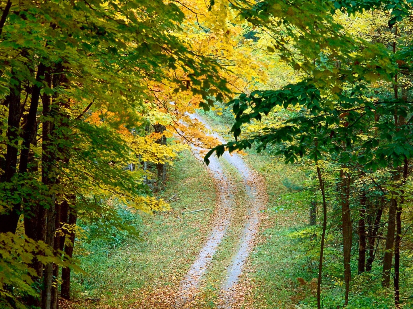 Скачать обои бесплатно Пейзаж, Дороги, Осень картинка на рабочий стол ПК