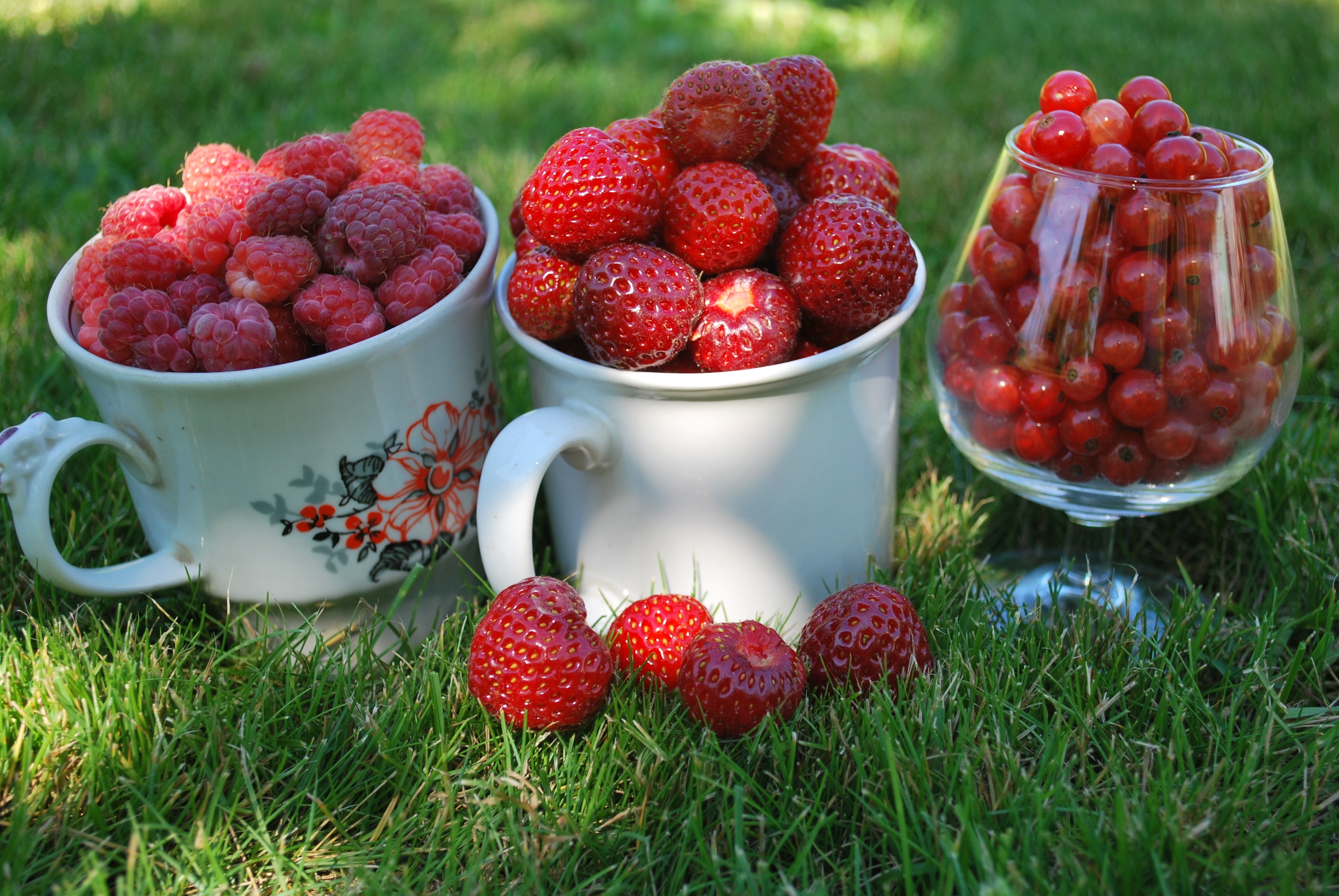 food, strawberry, grass, cups, raspberry, berries, currant, red, macro, mugs, country house, dacha, wineglass, goblet