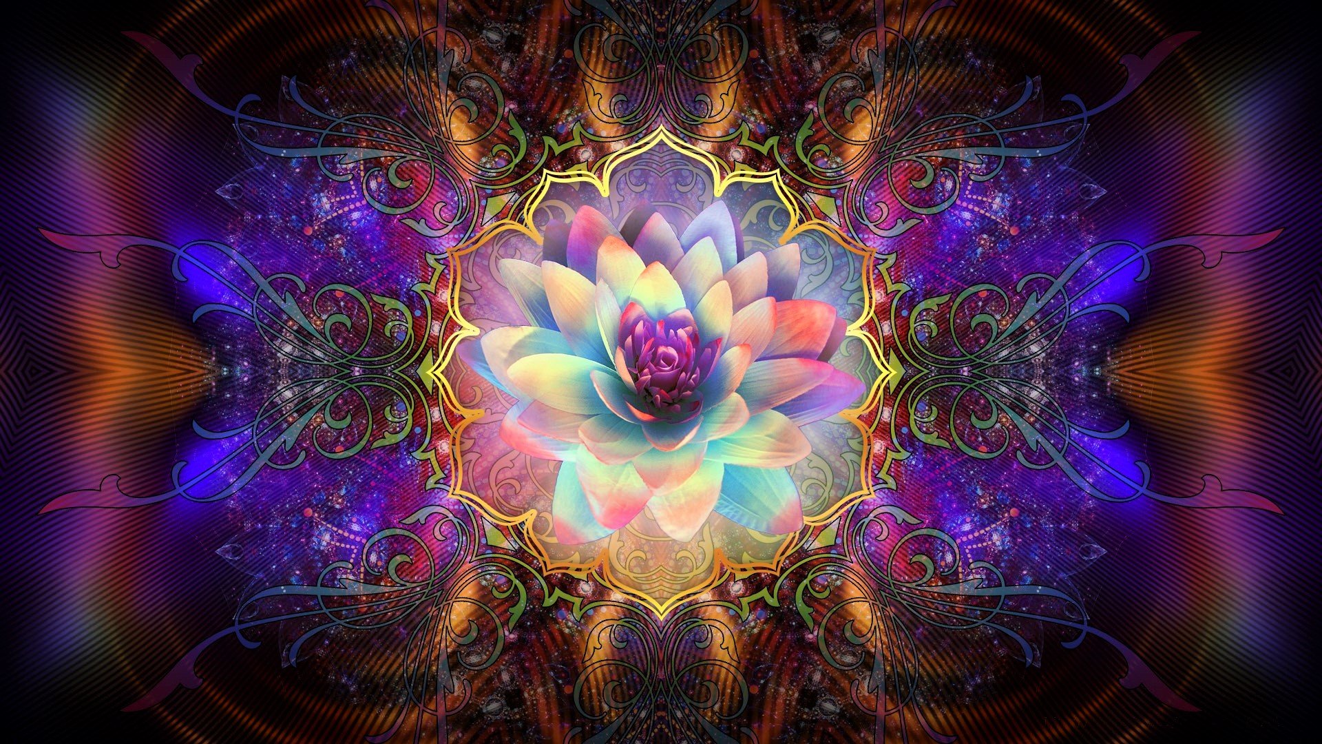 Download mobile wallpaper Flowers, Lotus, Flower, Colors, Design, Artistic for free.